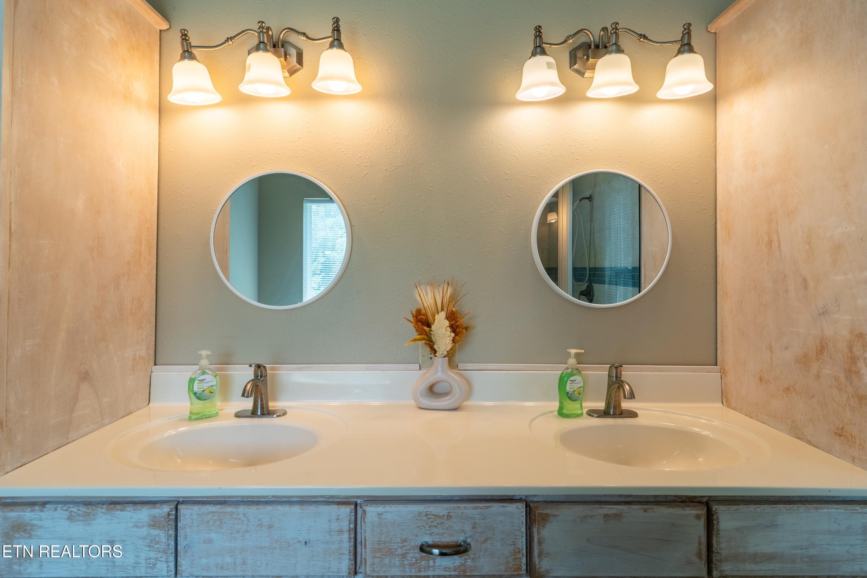 Owner's En Suite Bathrm - 1225 Paradise Lane, Dandridge, TN 37725