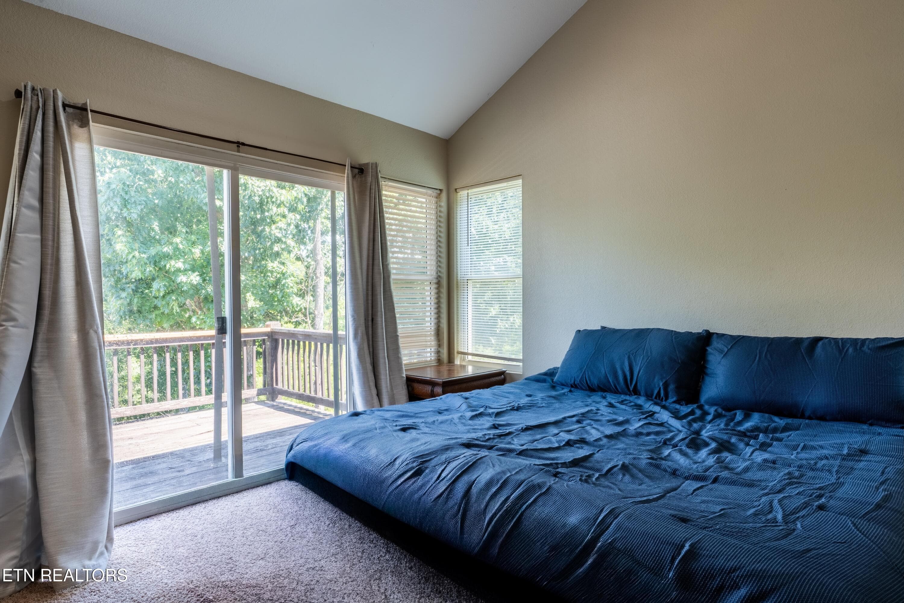Owner's Suite Upper Level - 1225 Paradise Lane, Dandridge, TN 37725