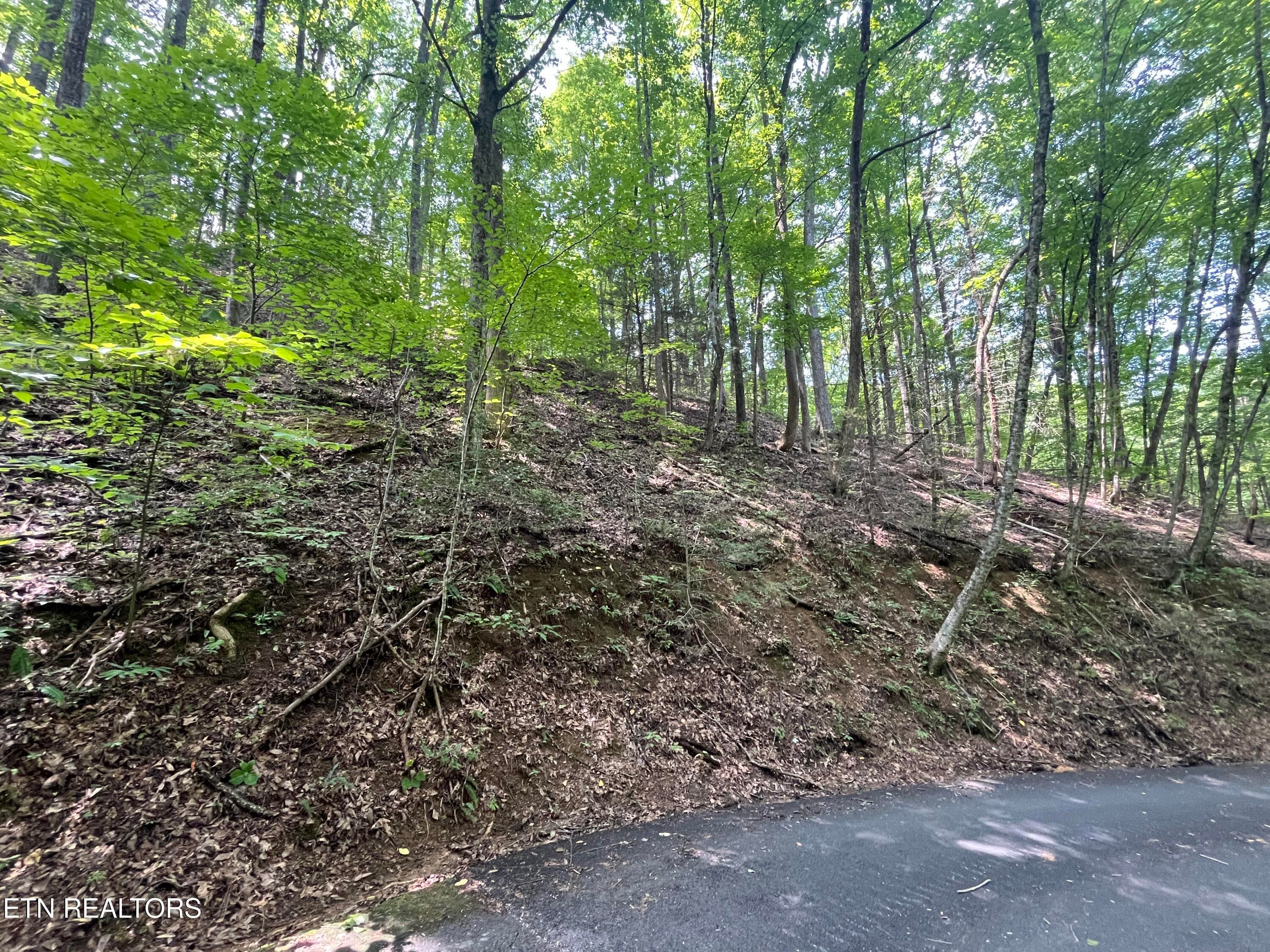 Lot 334 Ridgefield Drive, Sevierville, TN 37876