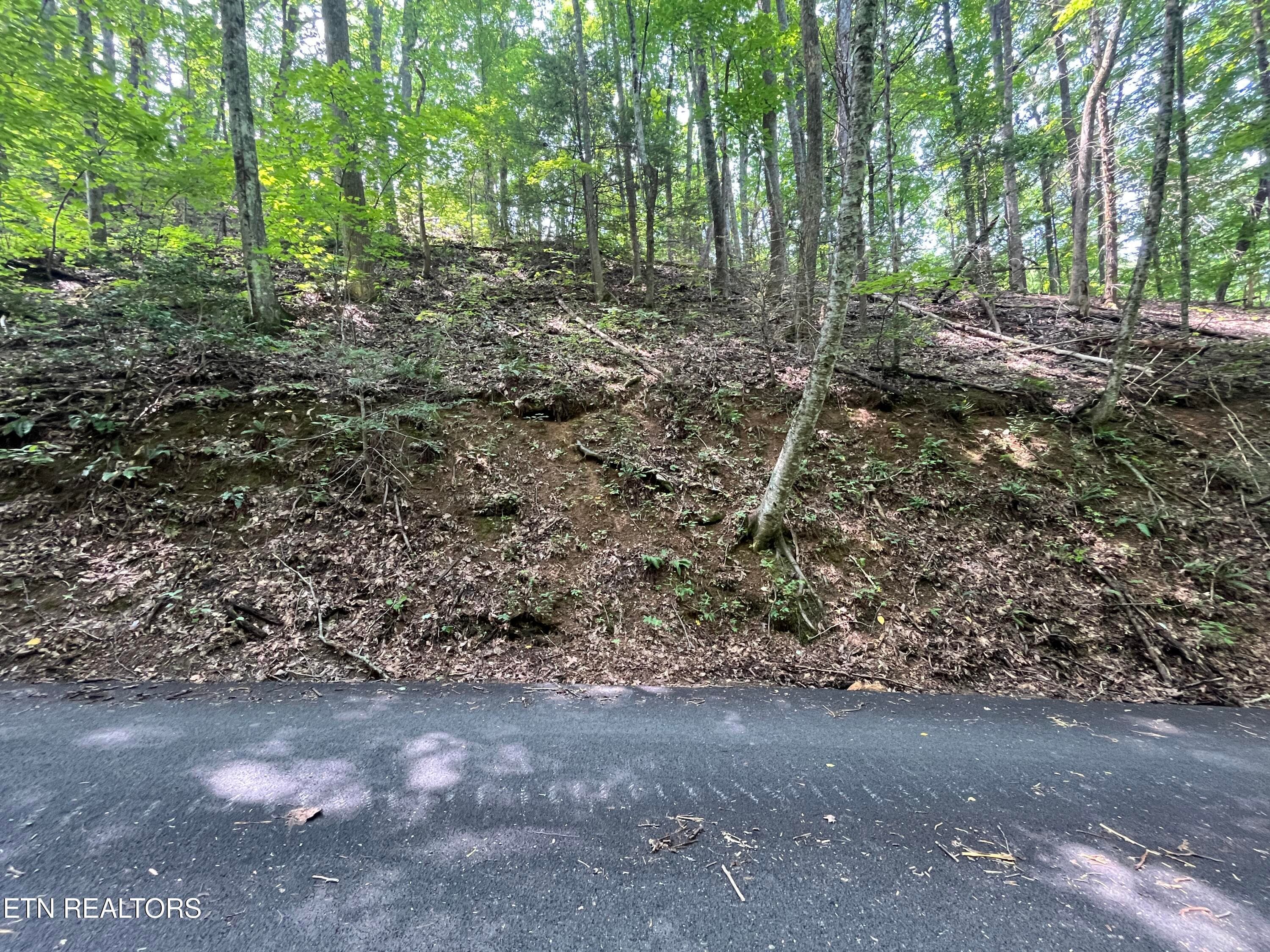 IMG_5781 - Lot 334 Ridgefield Drive, Sevierville, TN 37876