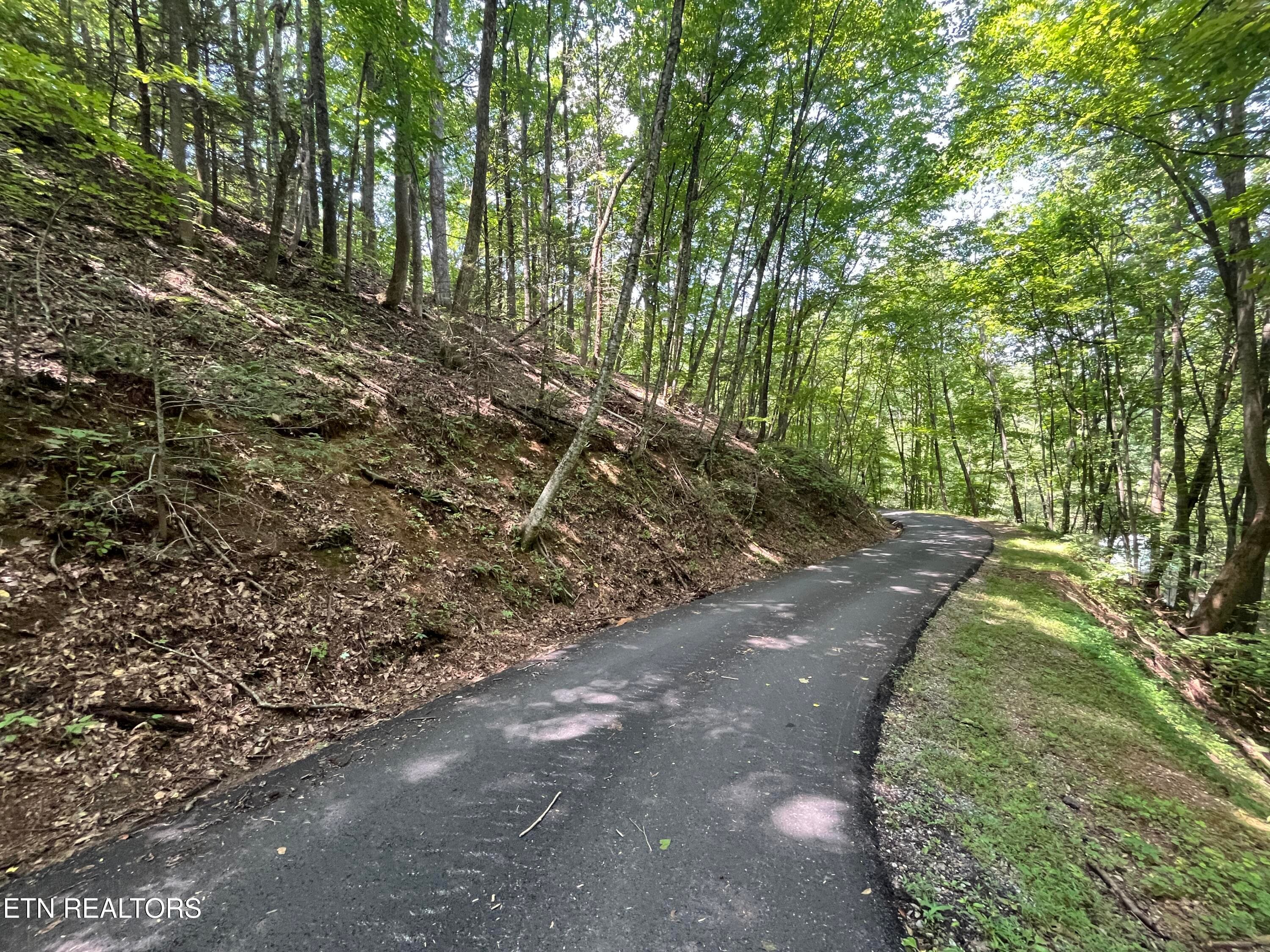 IMG_5779 - Lot 334 Ridgefield Drive, Sevierville, TN 37876