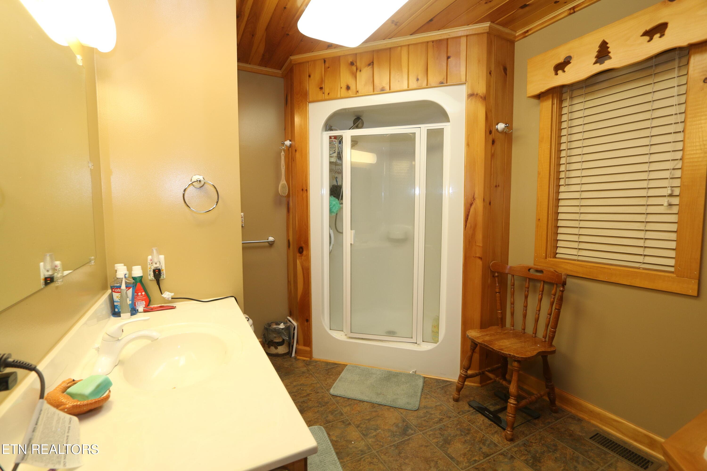 IMG_2336 - 351 Warrior Ridge Way, Cosby, TN 37722