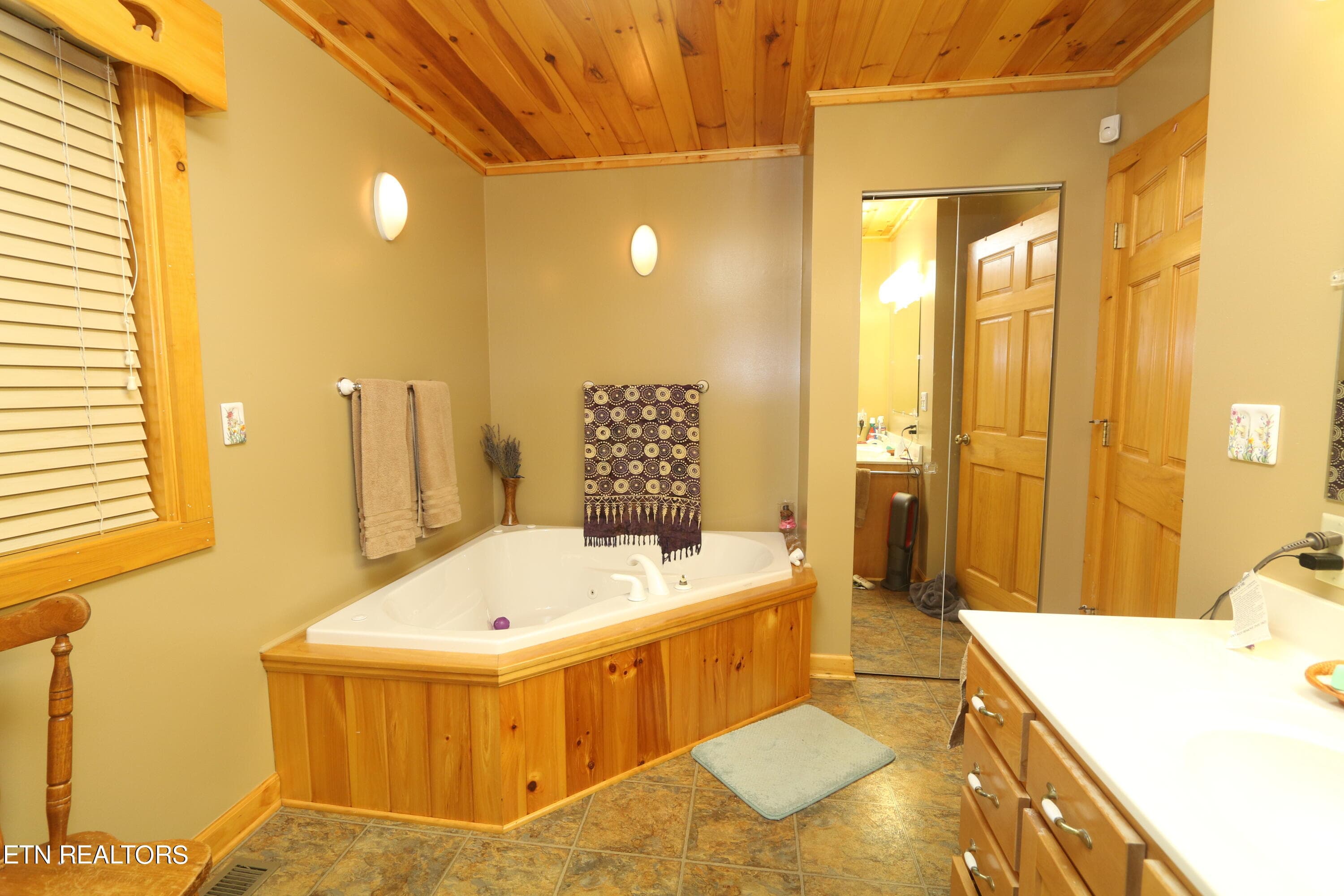 IMG_2337 - 351 Warrior Ridge Way, Cosby, TN 37722