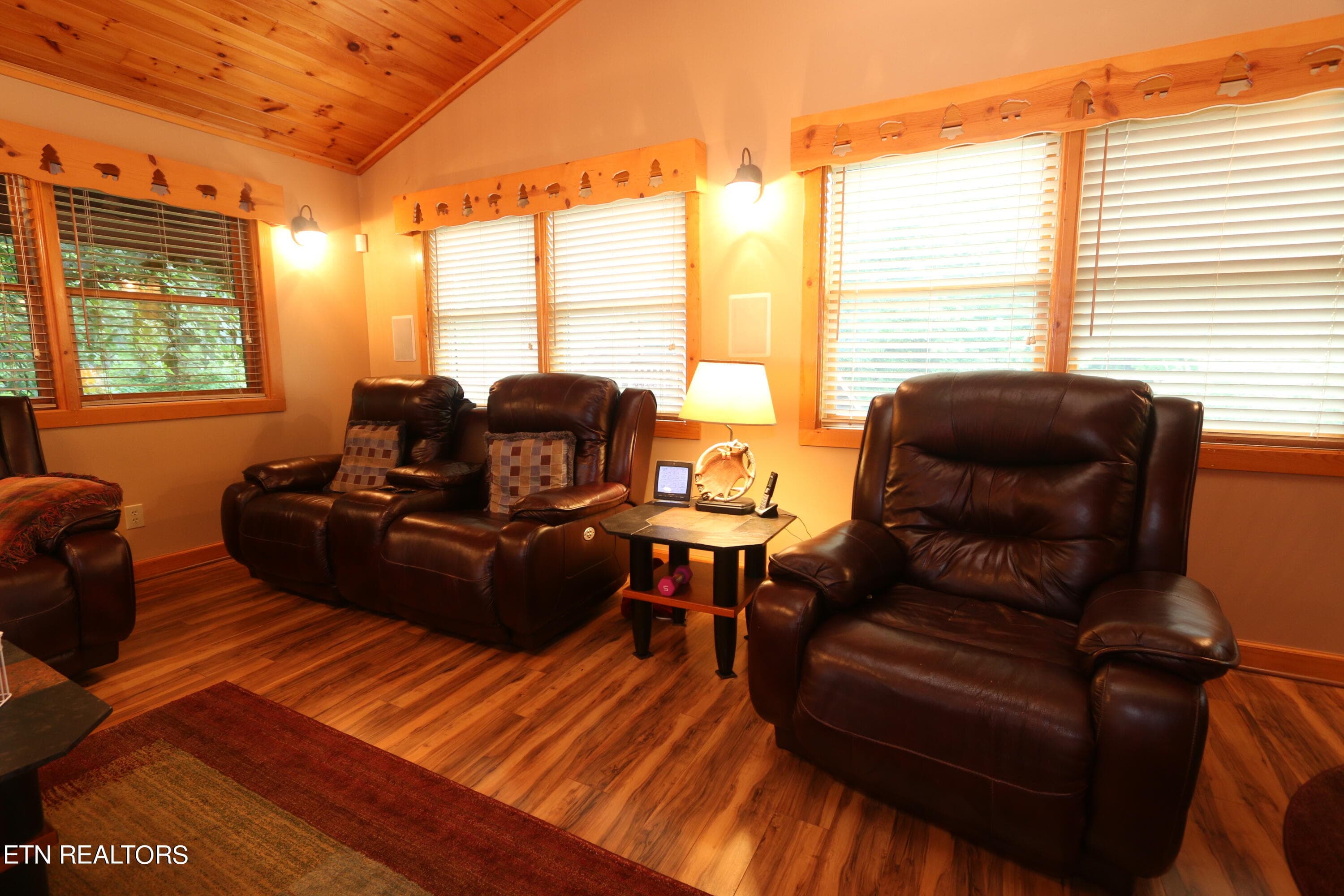 IMG_2313 - 351 Warrior Ridge Way, Cosby, TN 37722