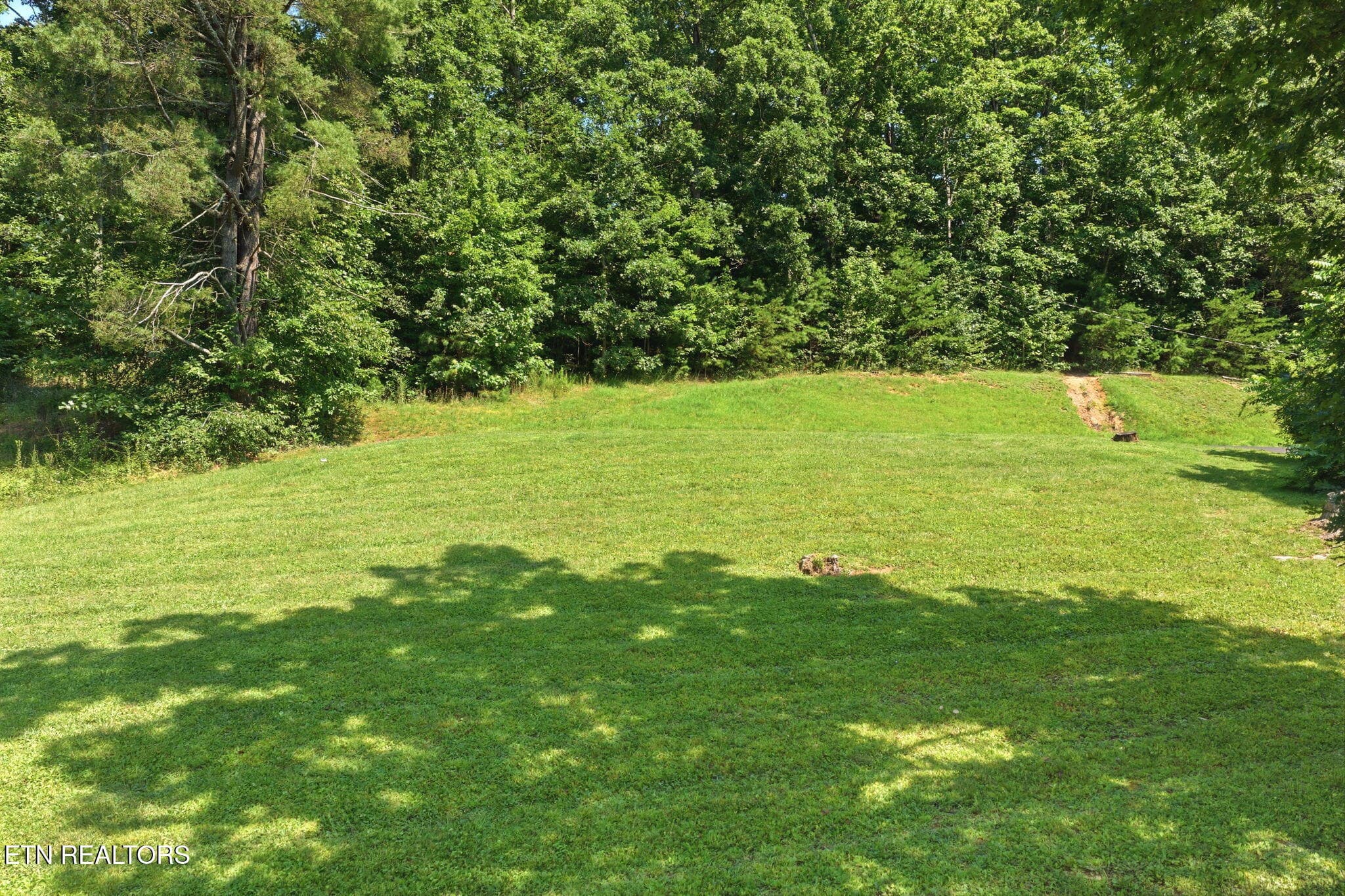 57-web-or-mls-027_241 Skyline-109 - Skyline Drive, Oneida, TN 37841
