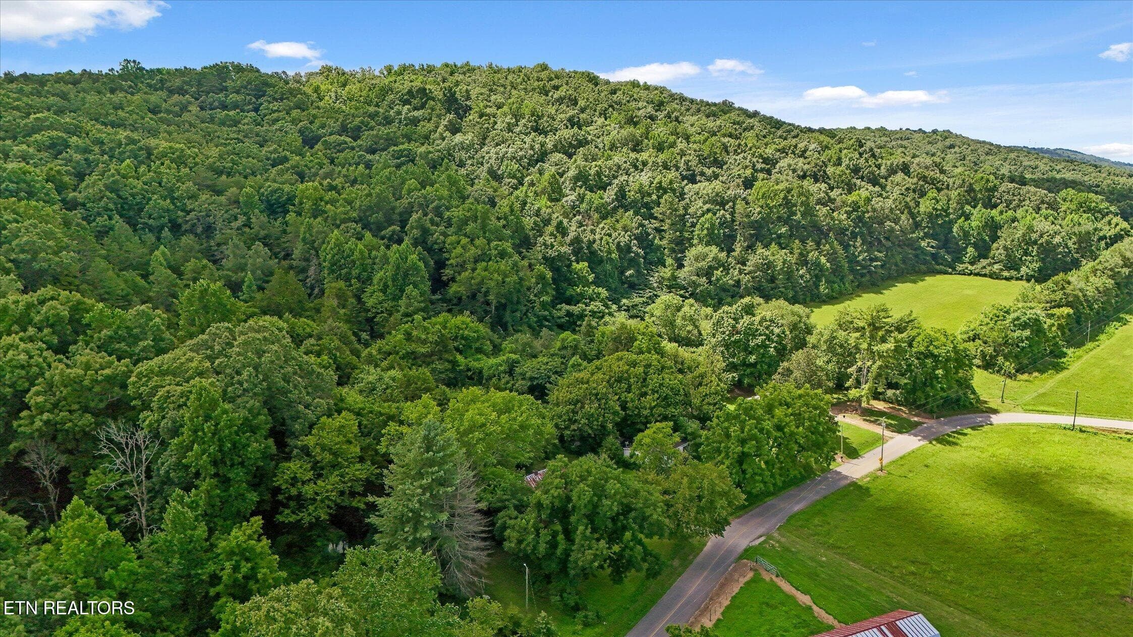 10-5904 Candies Creek-24 - 5904 Candies Creek Ridge Rd, Charleston, TN 37310