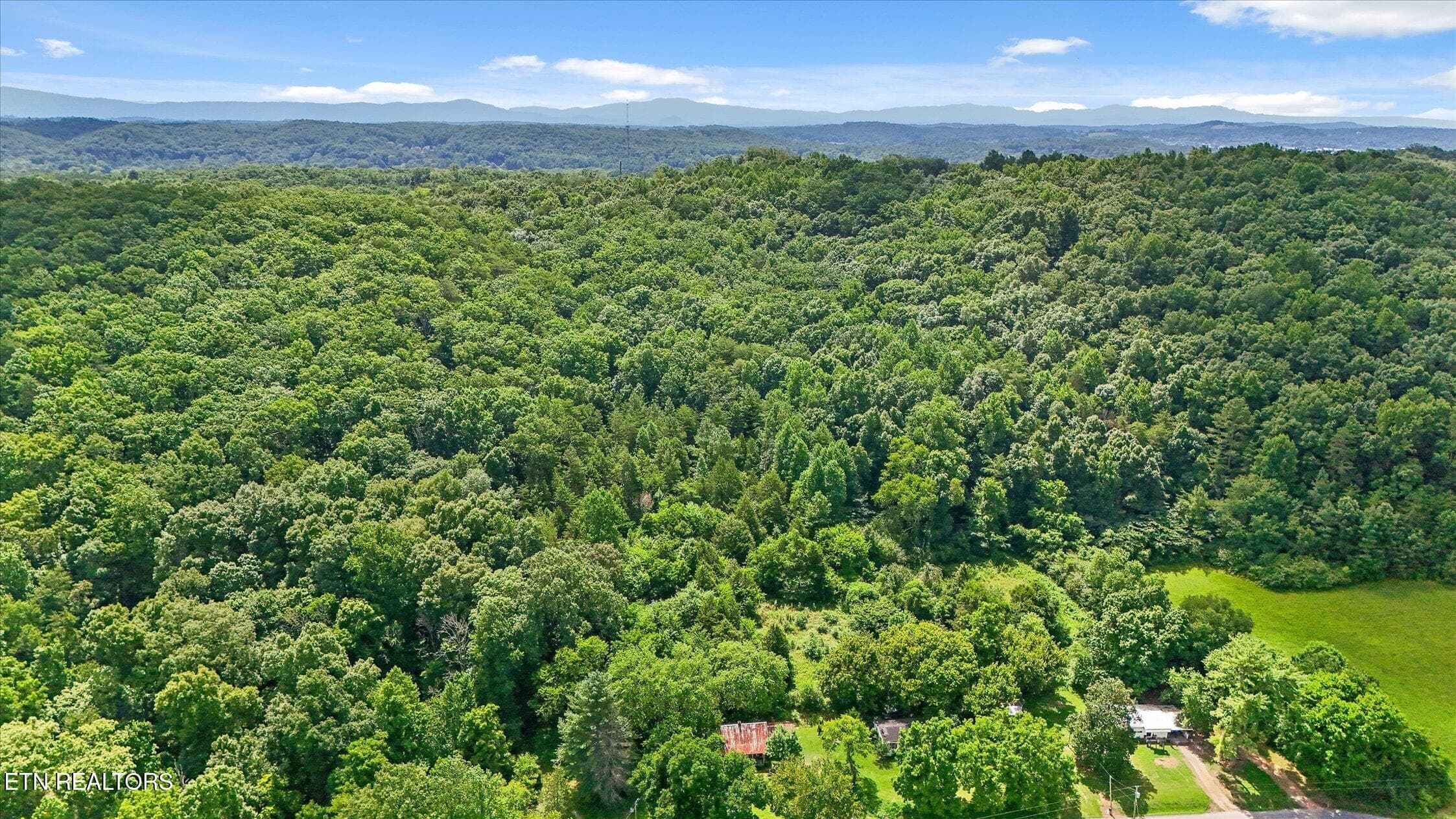 12-5904 Candies Creek-25 - 5904 Candies Creek Ridge Rd, Charleston, TN 37310