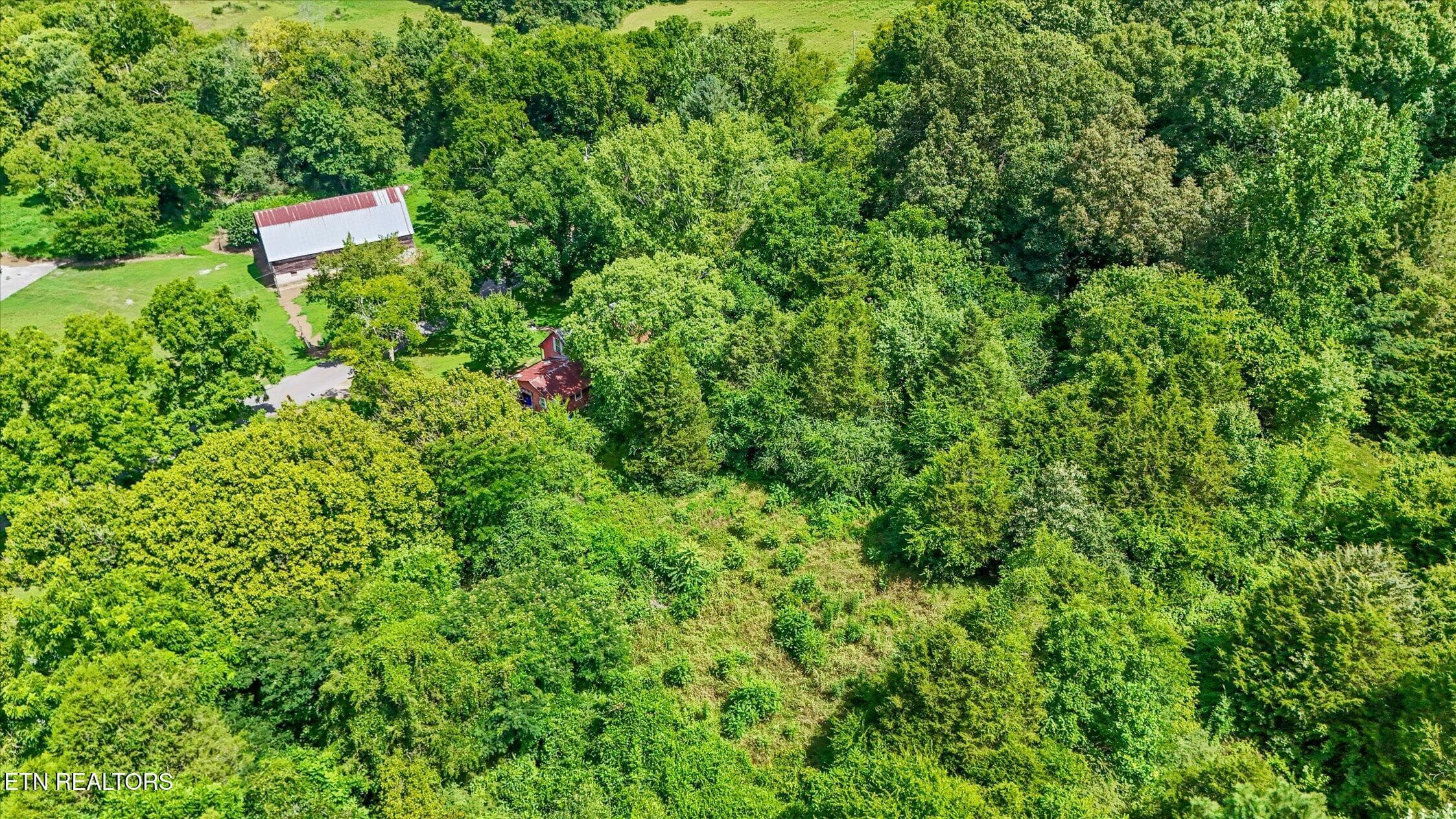 29-5904 Candies Creek-16 - 5904 Candies Creek Ridge Rd, Charleston, TN 37310