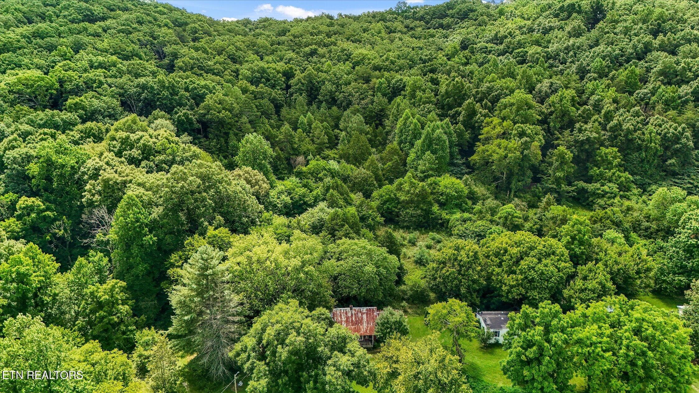 30-5904 Candies Creek-17 - 5904 Candies Creek Ridge Rd, Charleston, TN 37310