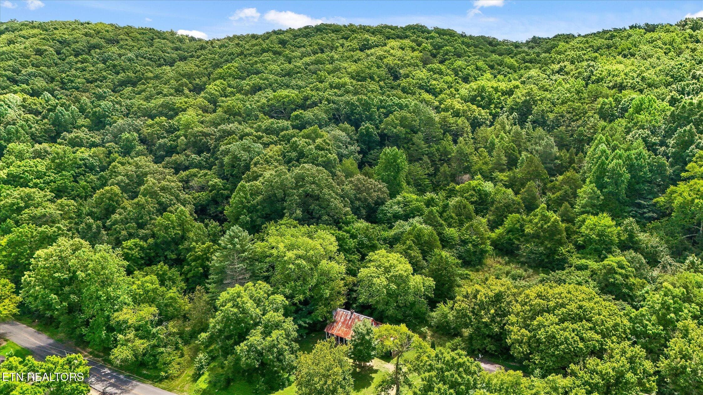 31-5904 Candies Creek-18 - 5904 Candies Creek Ridge Rd, Charleston, TN 37310