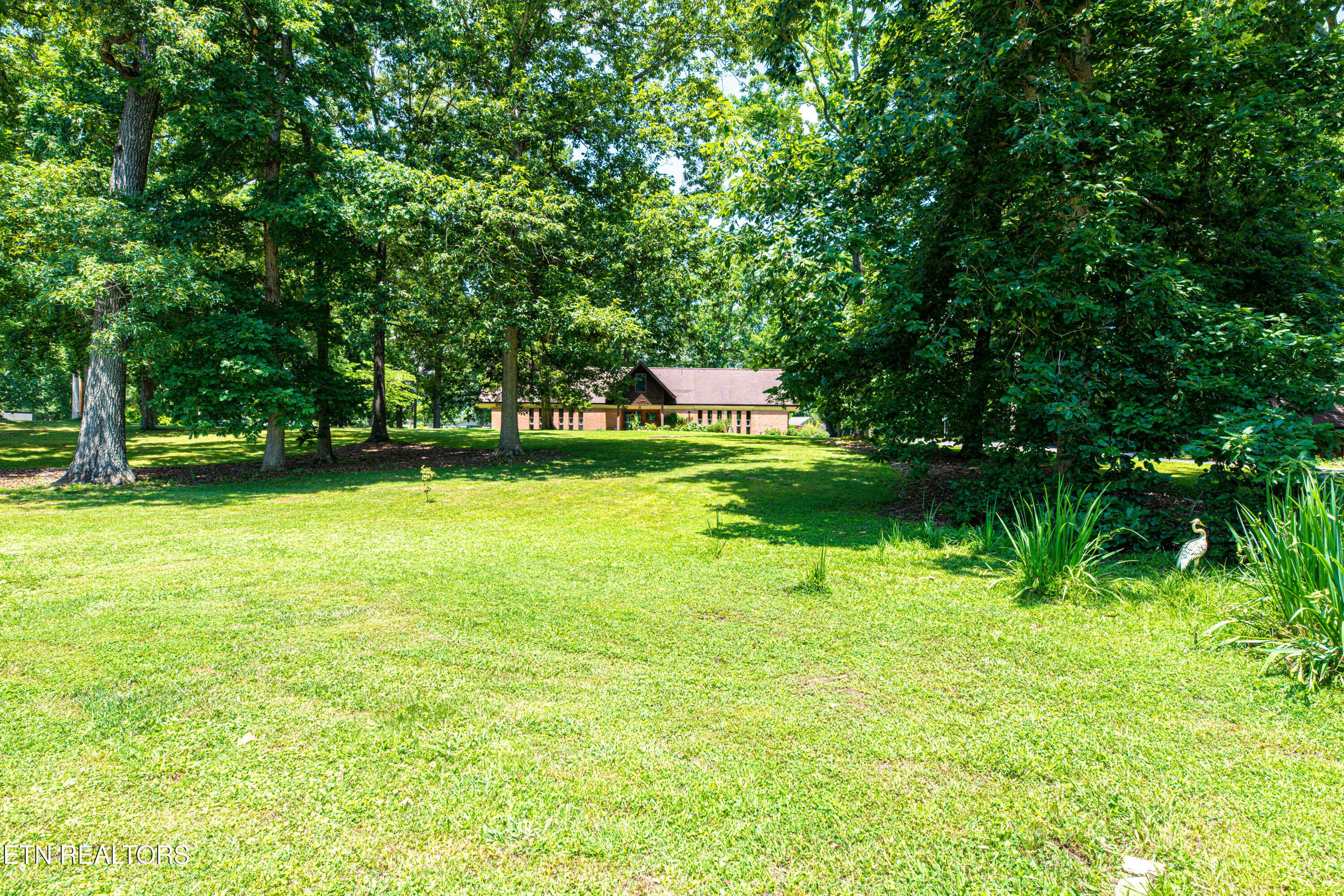 167 - 167 Manhattan Ave, Oak Ridge, TN 37830