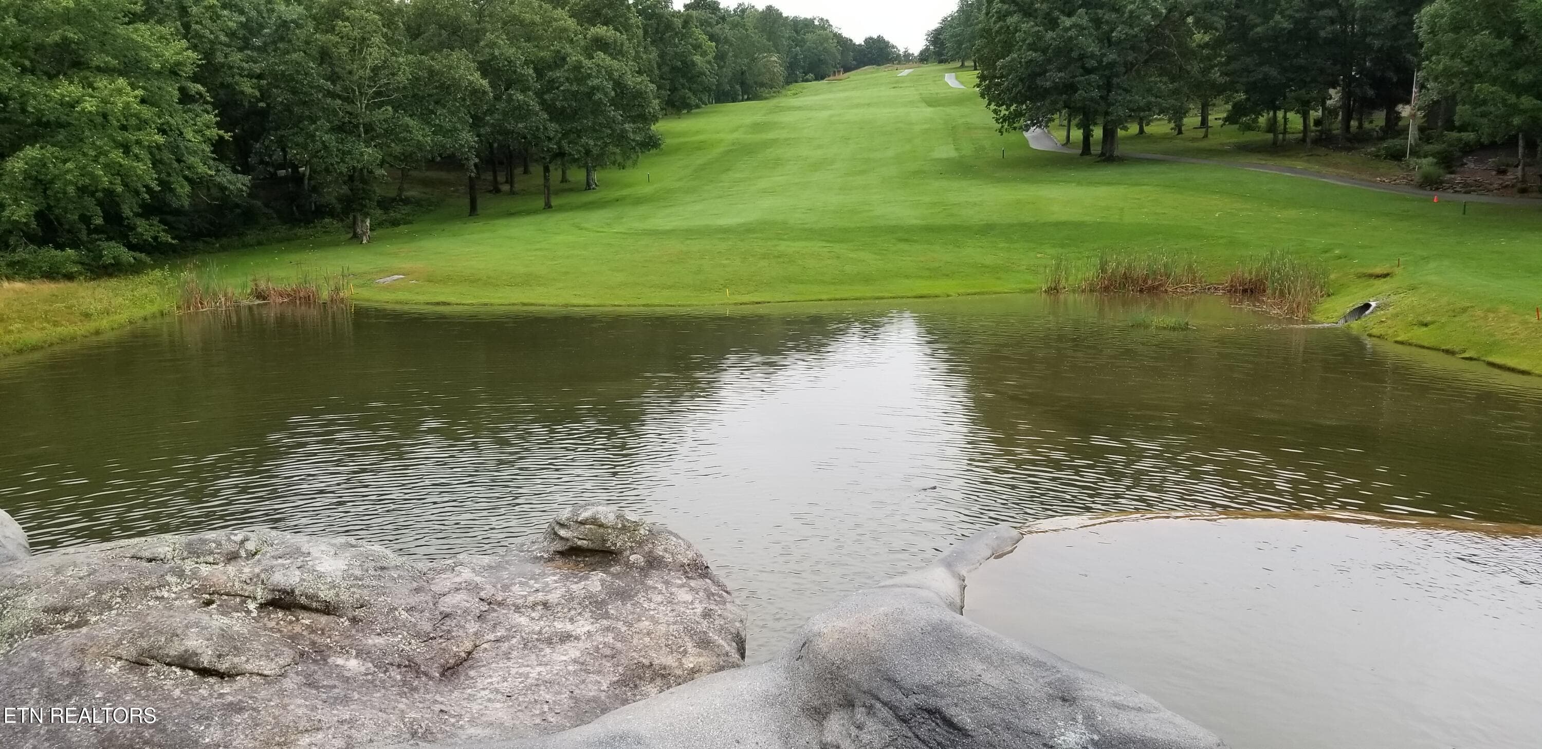 NICE DRIVE WILL GET YOU HERE! - 14 Ridge Crest Circle, Fairfield Glade, TN 38558