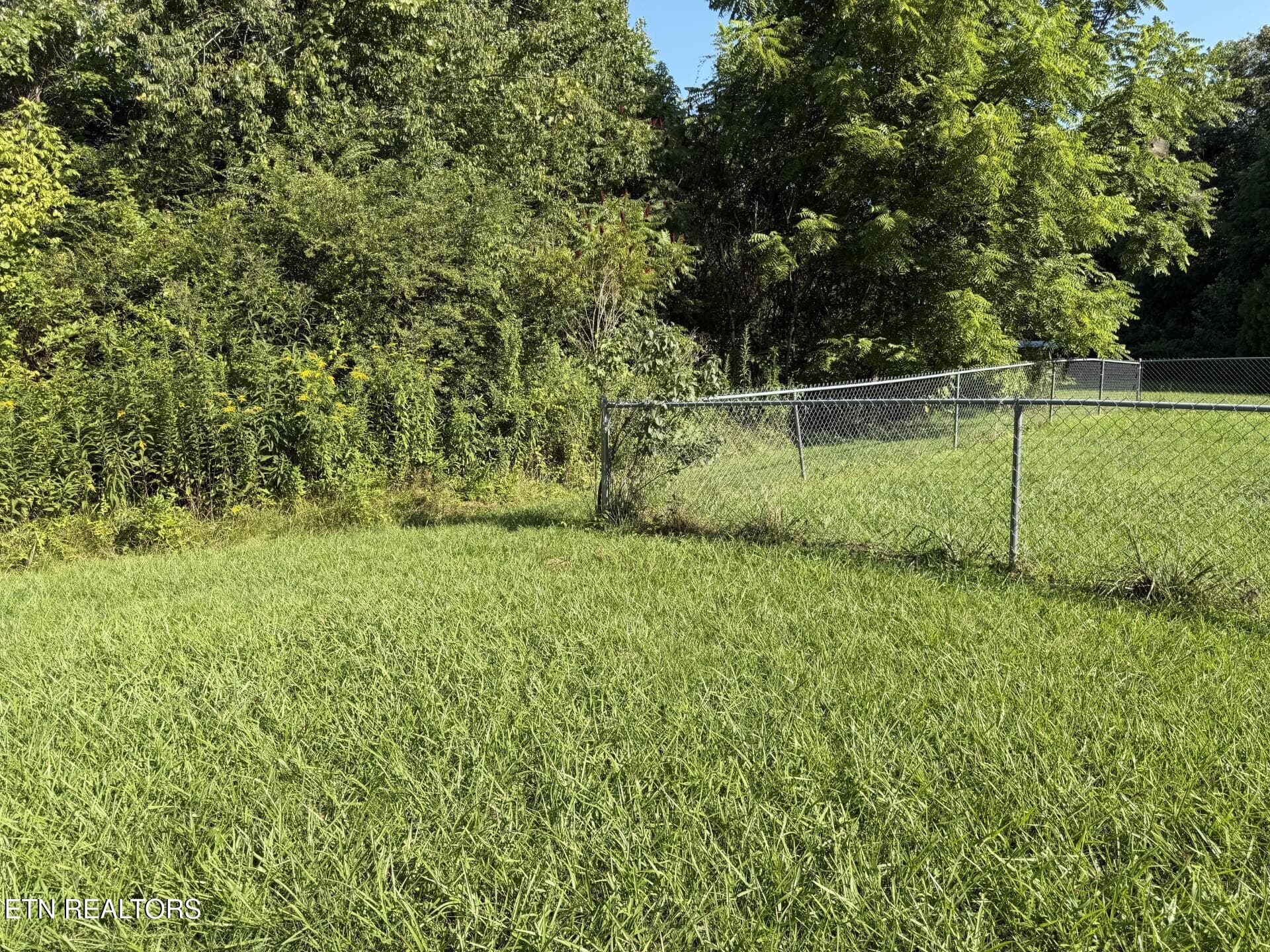 11033 Hwy 68 back yard 3 - 11033 Highway 68, Grandview, TN 37337