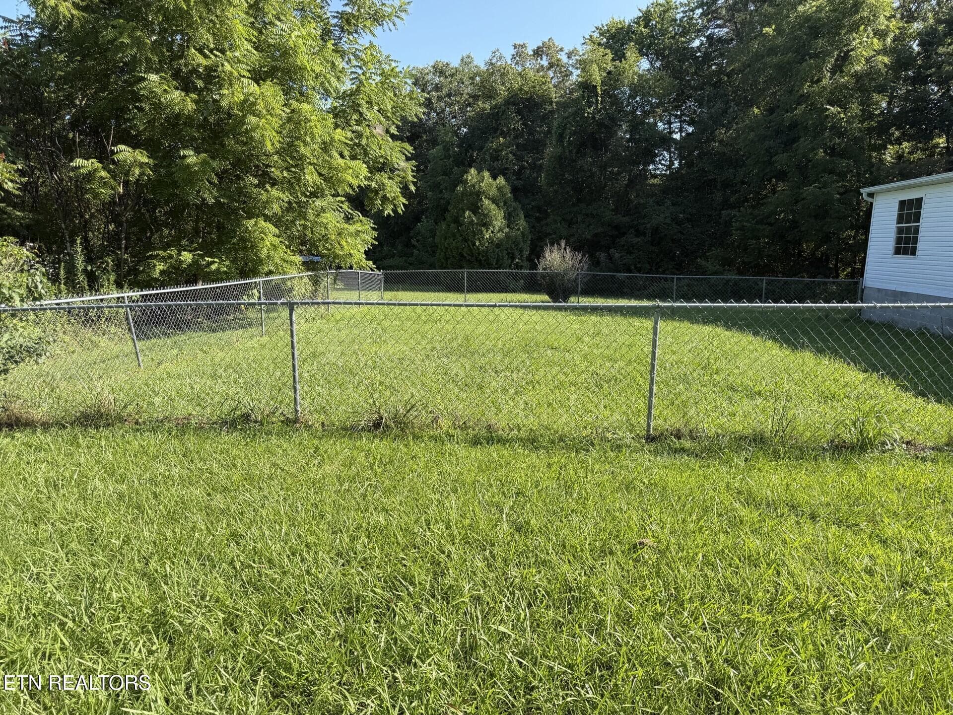 11033 Hwy 68 back yard2 - 11033 Highway 68, Grandview, TN 37337