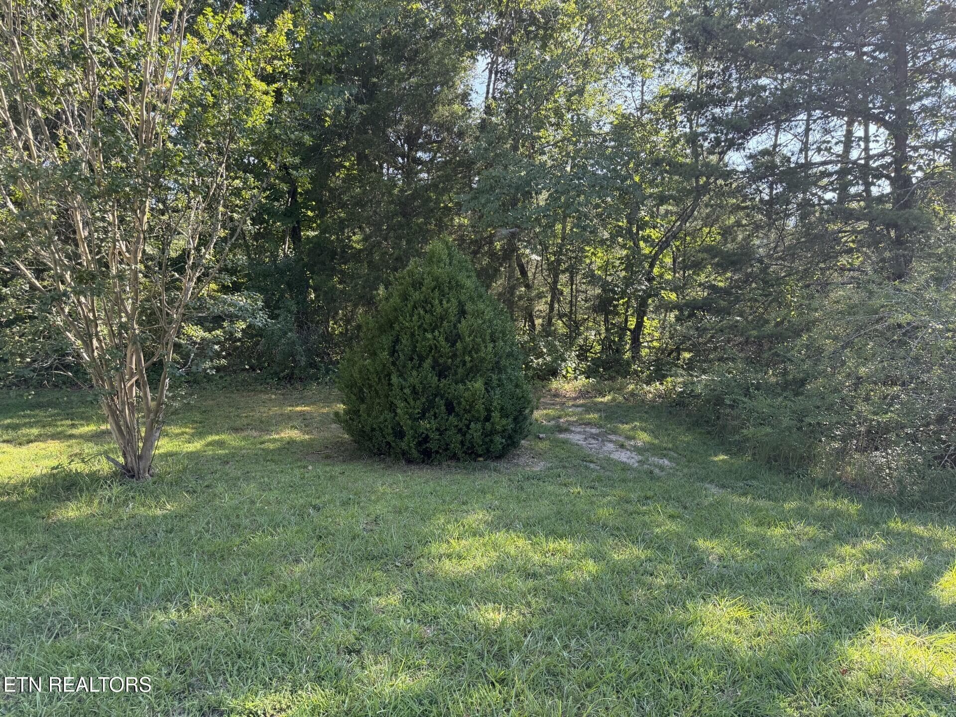 11033 Hwy 68 front yard - 11033 Highway 68, Grandview, TN 37337