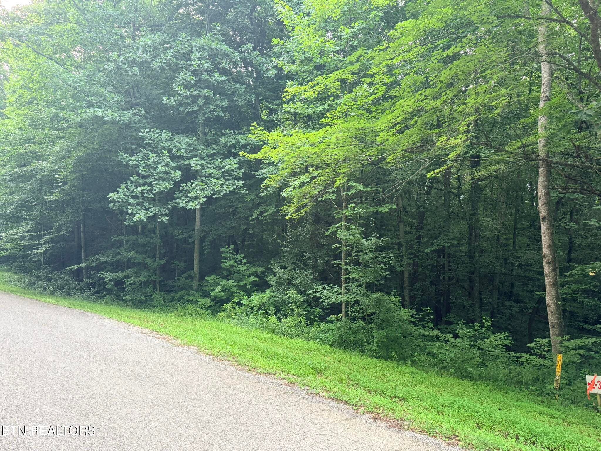 Lot 2 Evergreen Drive, Oneida, TN 37841