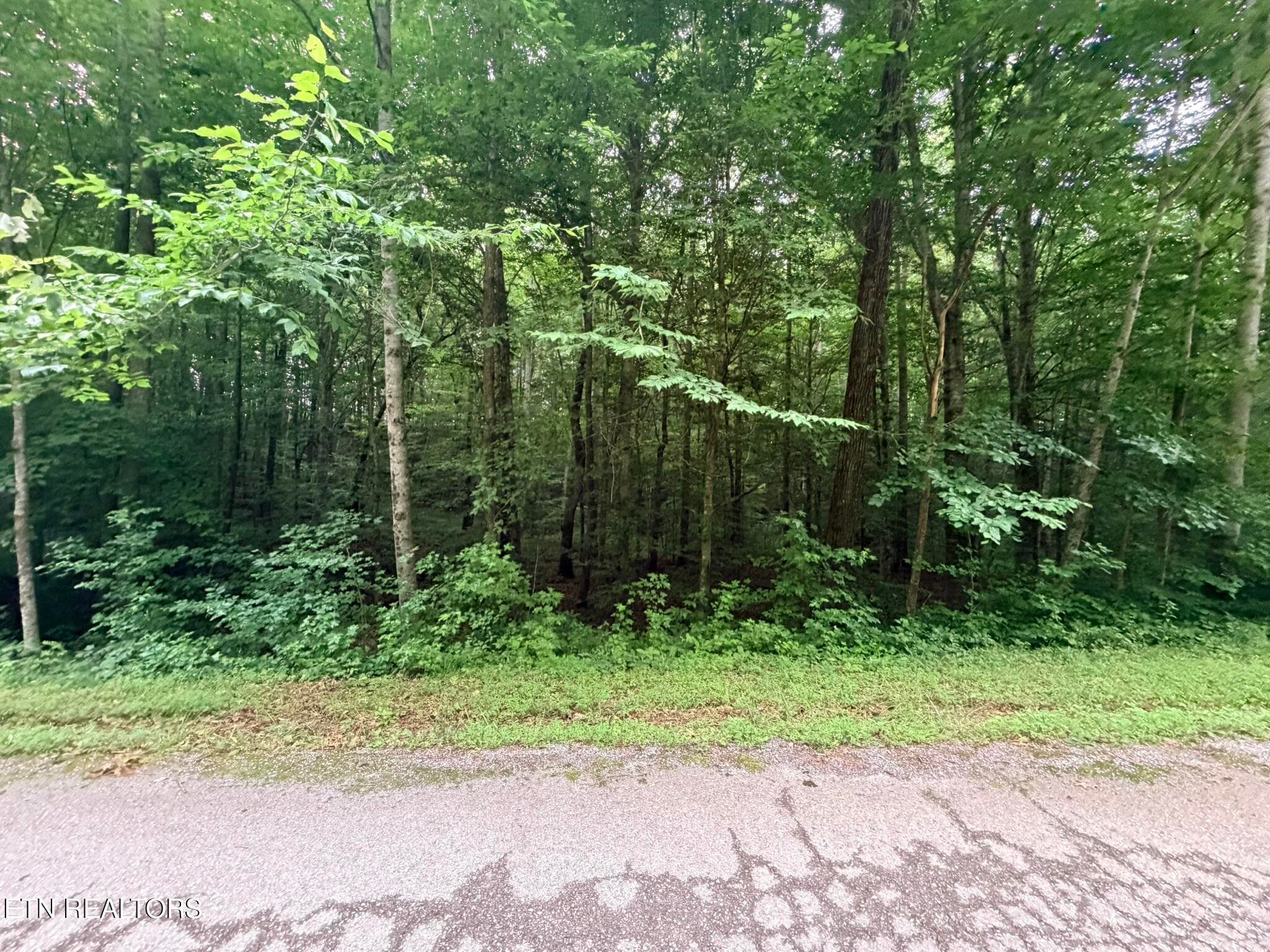 IMG_8617 - Lot 2 Evergreen Drive, Oneida, TN 37841