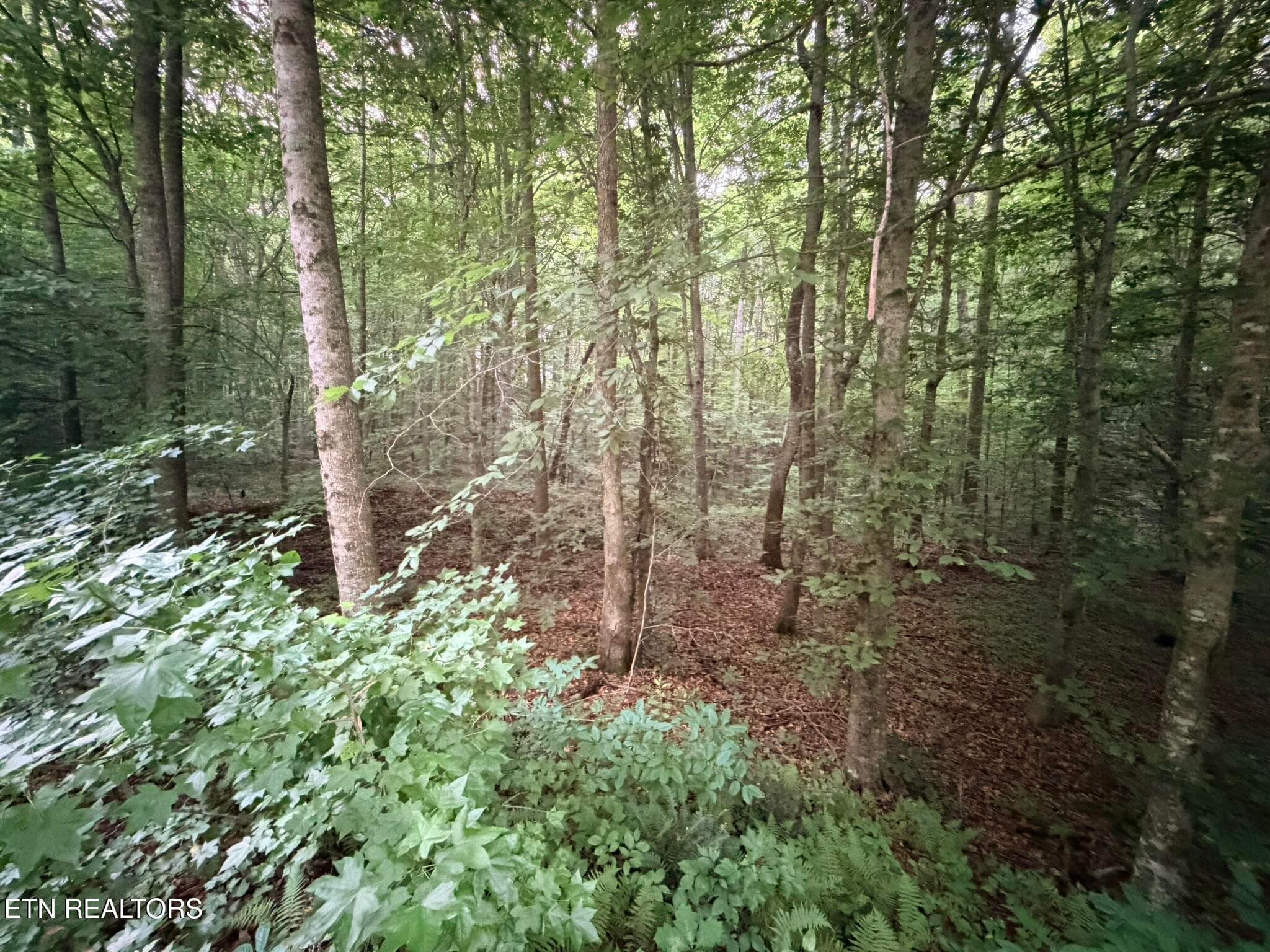 IMG_8620 - Lot 2 Evergreen Drive, Oneida, TN 37841