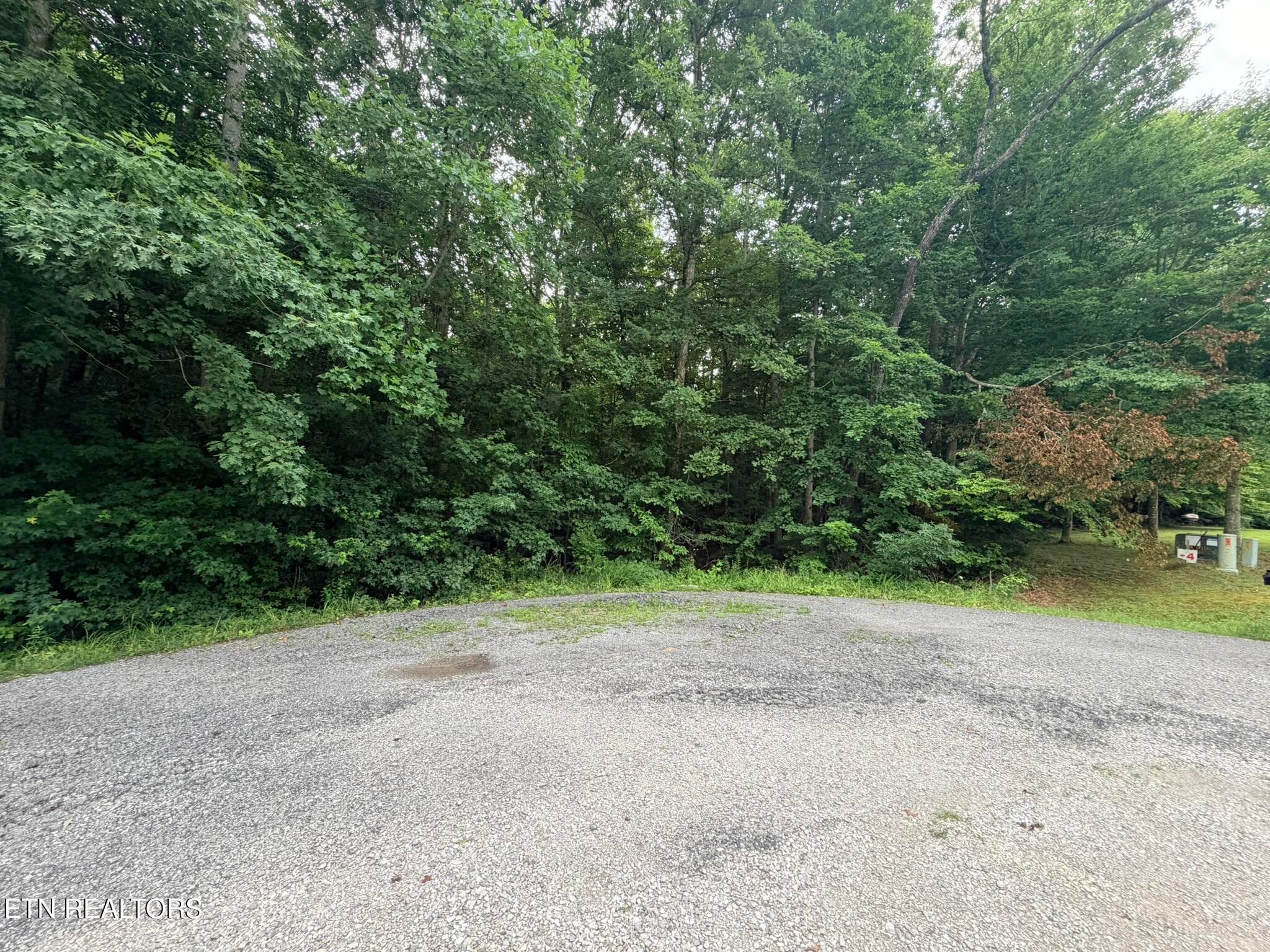 Lot 4 Evergreen Drive, Oneida, TN 37841