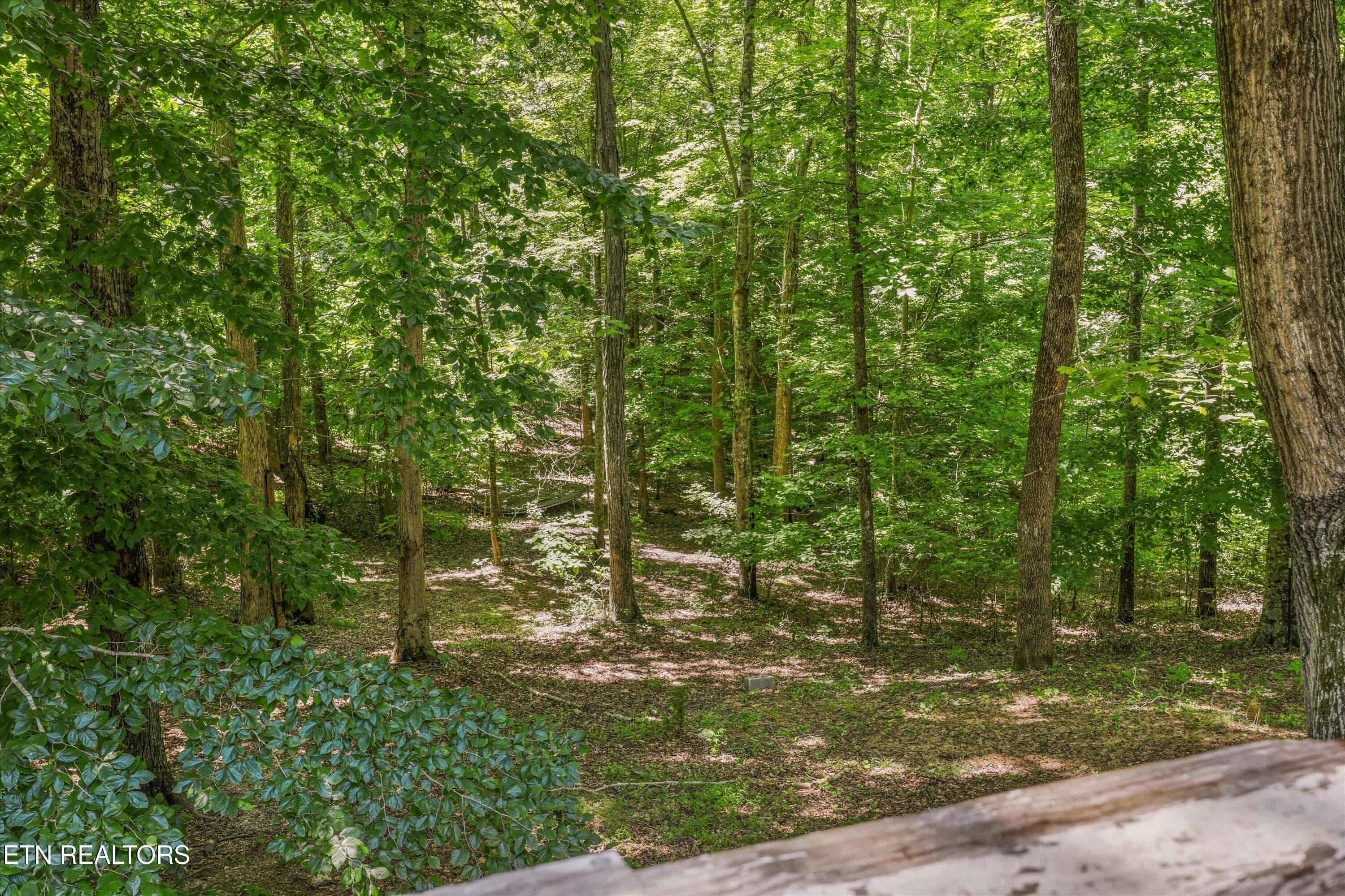 52-400 Cabbage Cemetery Rd56 - 400 Cabbage Cemetery Rd, Washburn, TN 37888