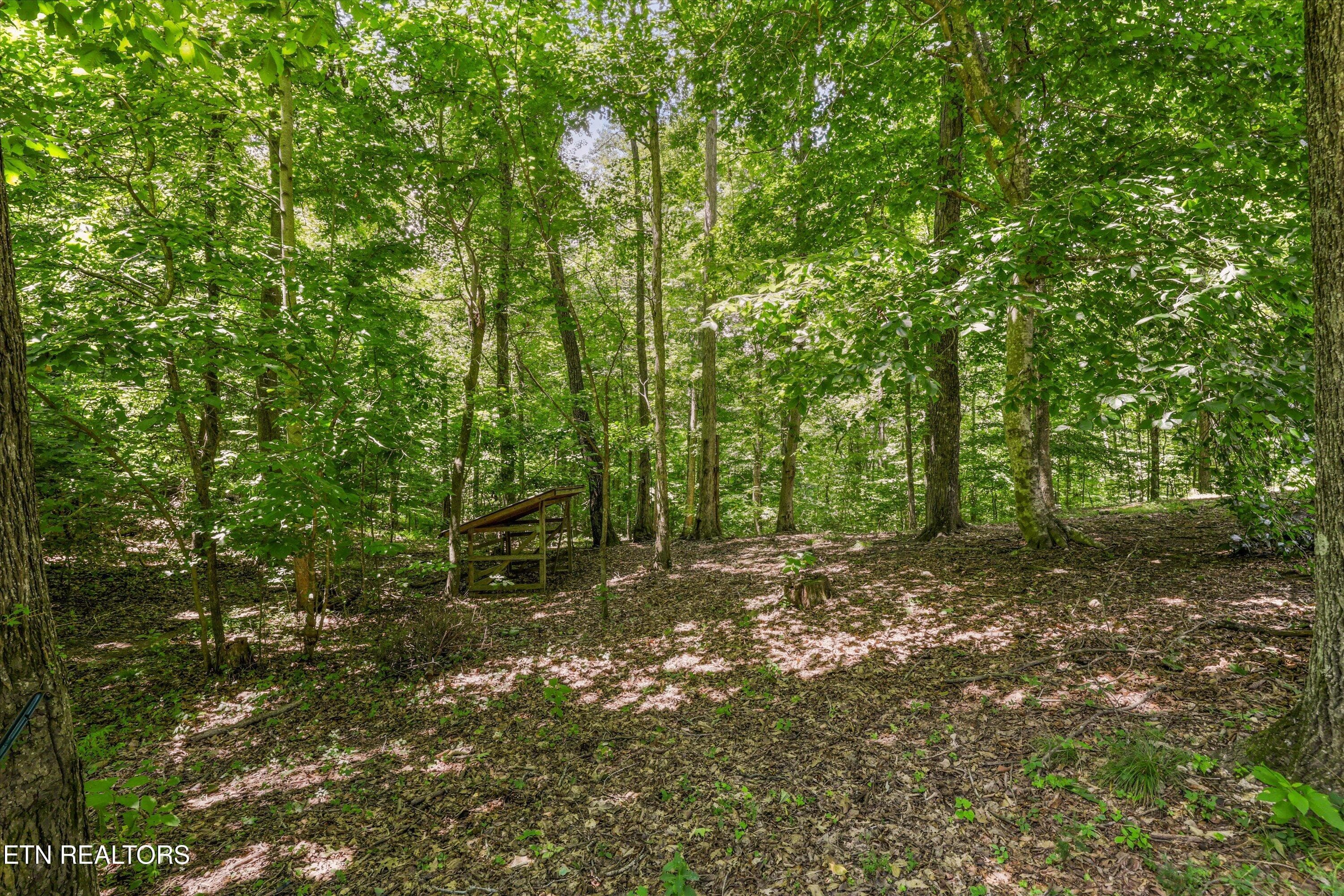 61-400 Cabbage Cemetery Rd30 - 400 Cabbage Cemetery Rd, Washburn, TN 37888