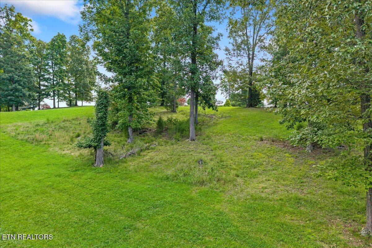 20-421 Waterfront Way-34 - 421 Waterfront Way, Spring City, TN 37381