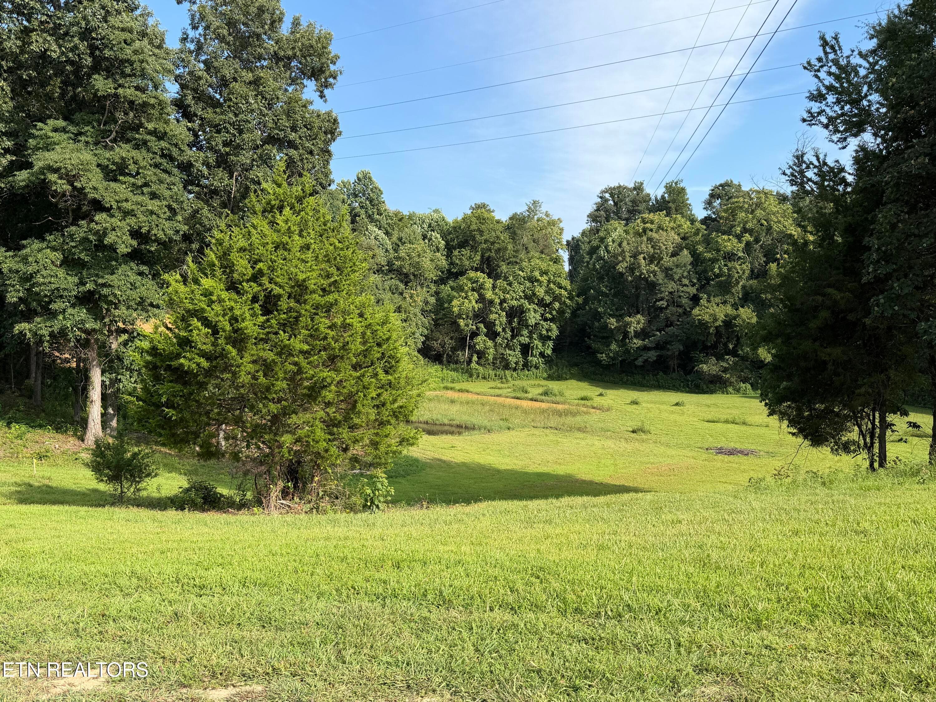 2490 Whittle Rd, New Market, TN 37820