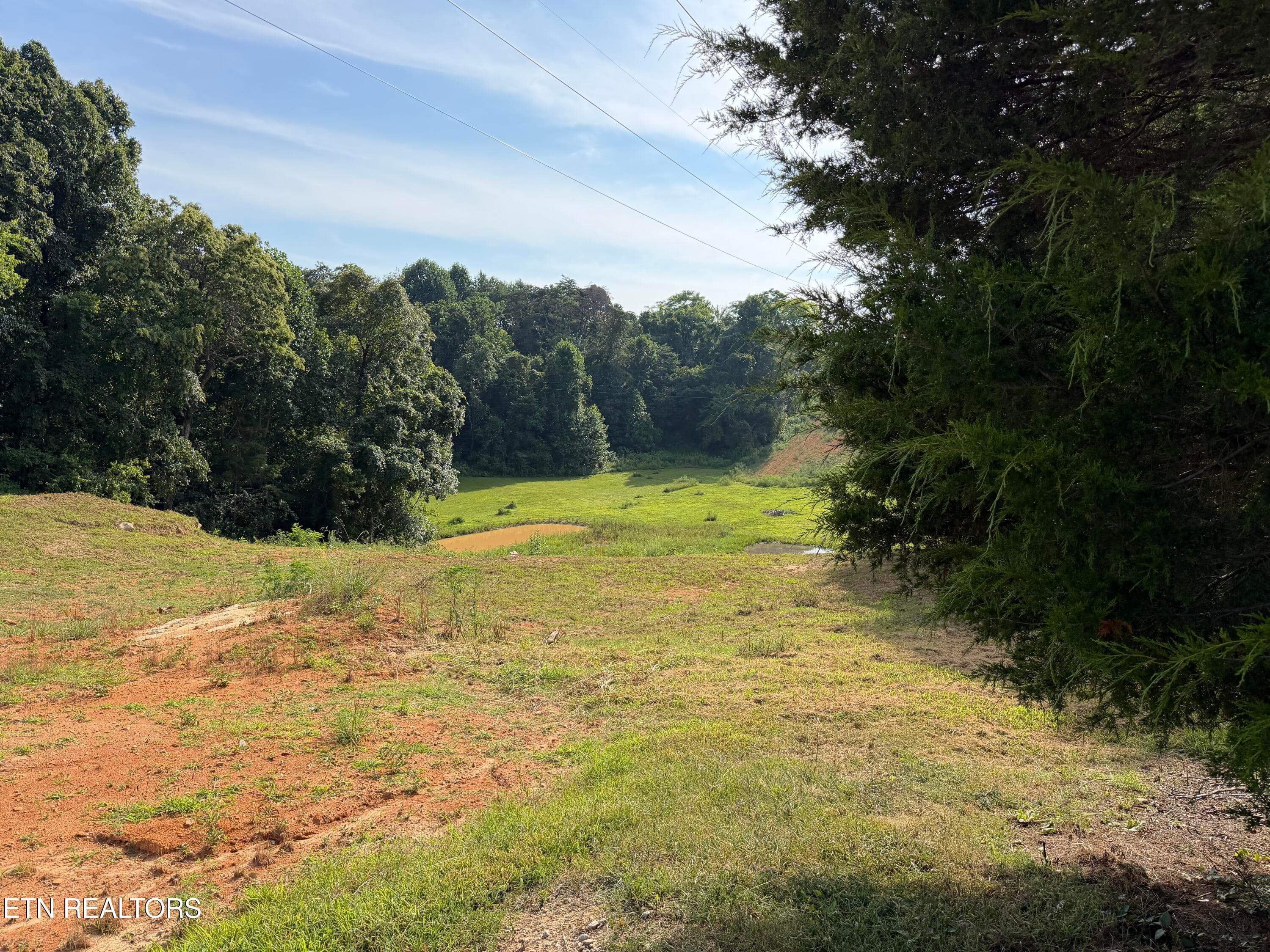 IMG_3159 - 2490 Whittle Rd, New Market, TN 37820