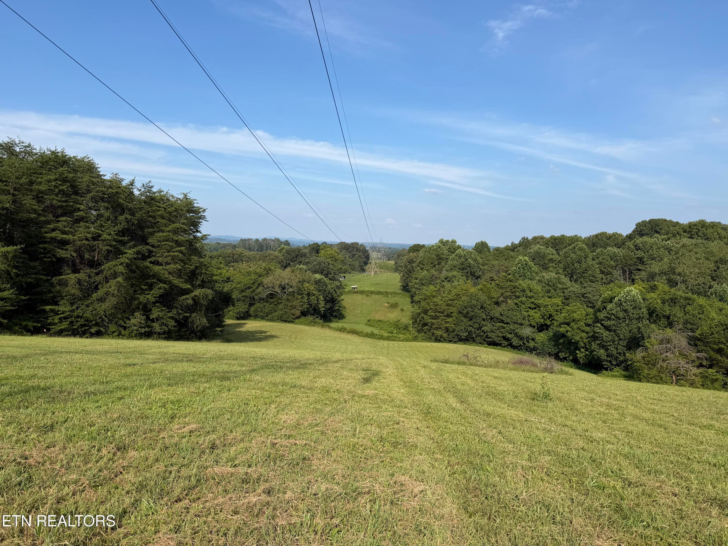 IMG_3161 - 2490 Whittle Rd, New Market, TN 37820