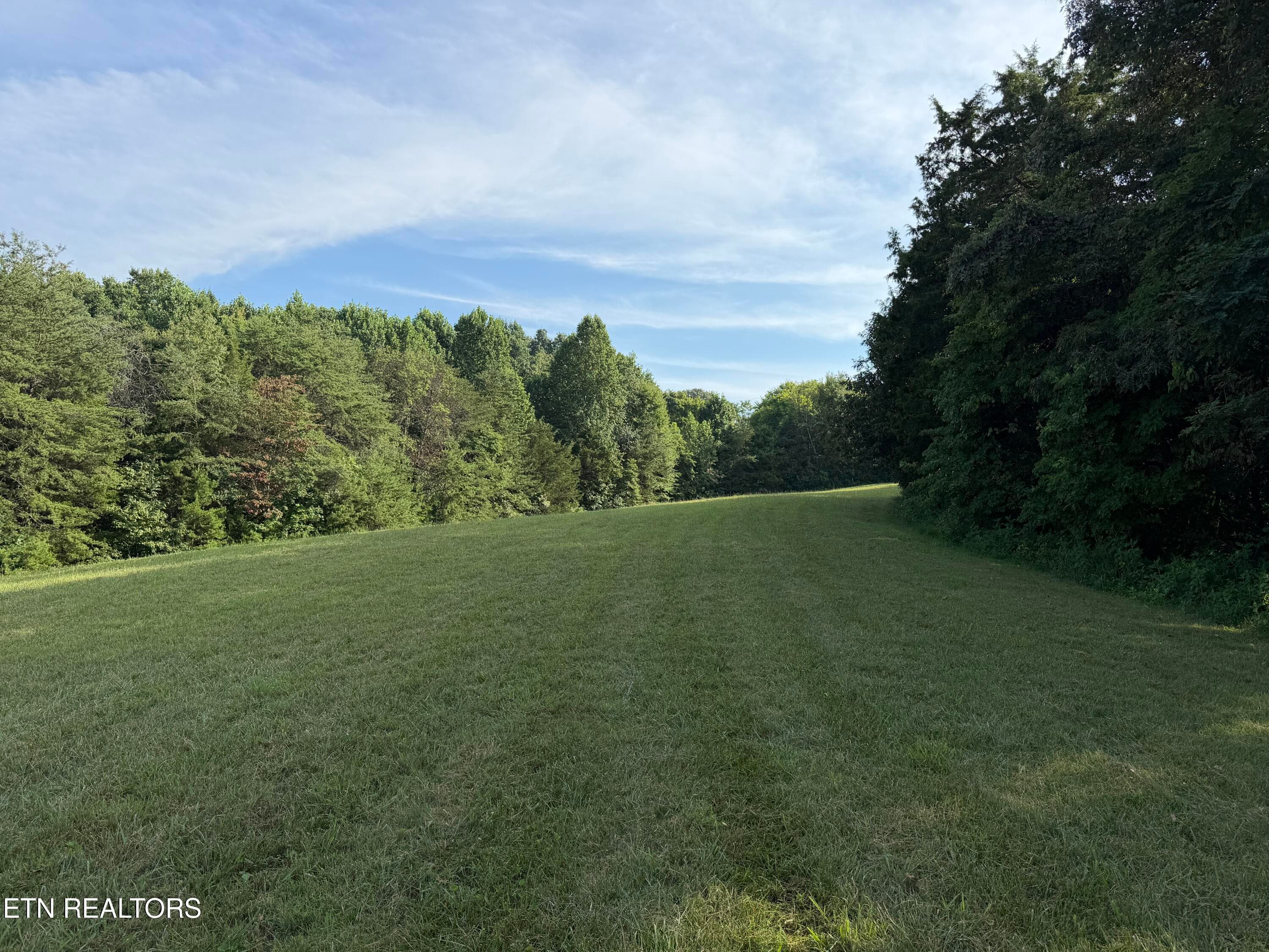 IMG_3162 - 2490 Whittle Rd, New Market, TN 37820