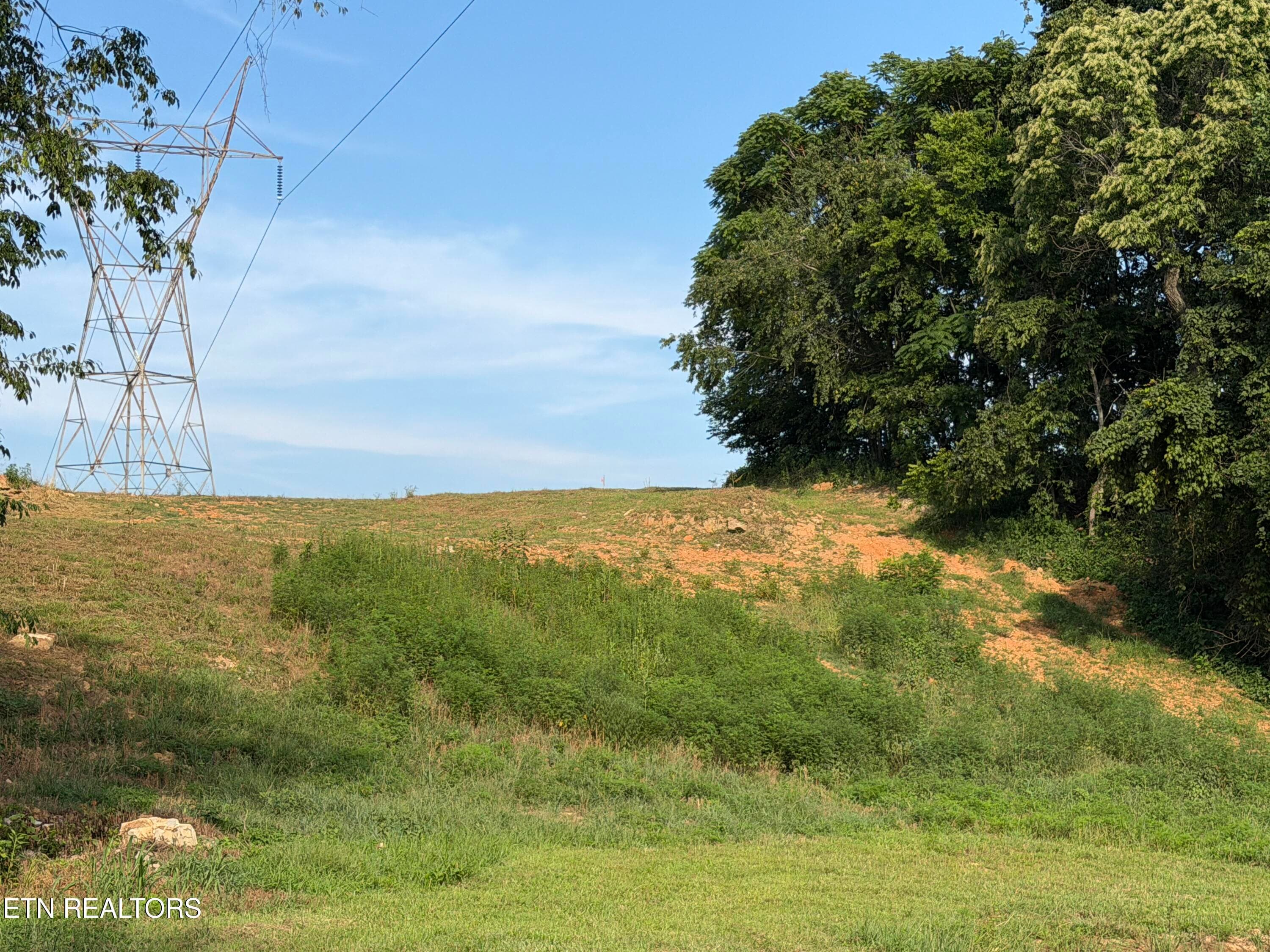 IMG_3175 - 2490 Whittle Rd, New Market, TN 37820