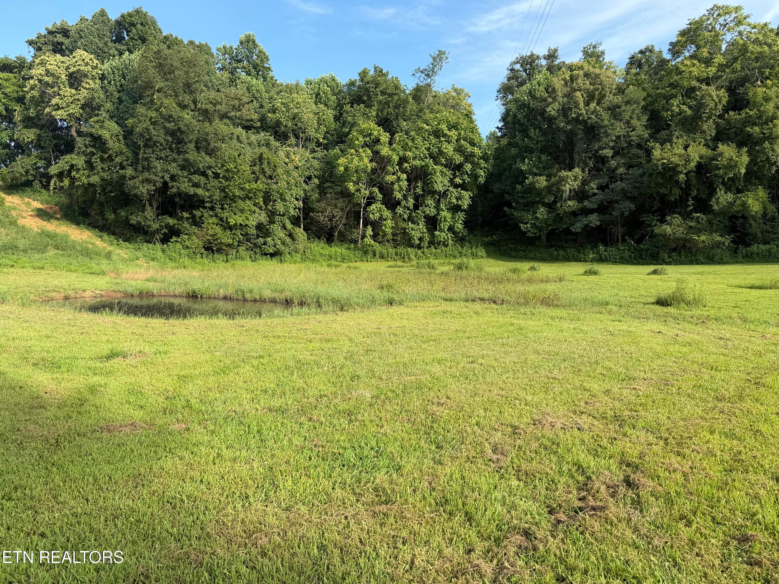 IMG_3176 - 2490 Whittle Rd, New Market, TN 37820