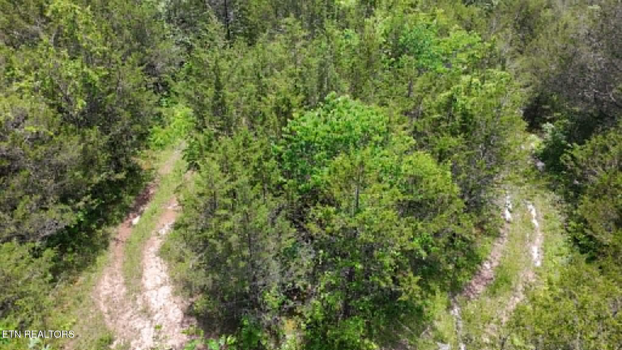 65f71353-deba-421f-bc91-dda29bdfd24c - 00 Mulberry Gap Rd, Sneedville, TN 37869