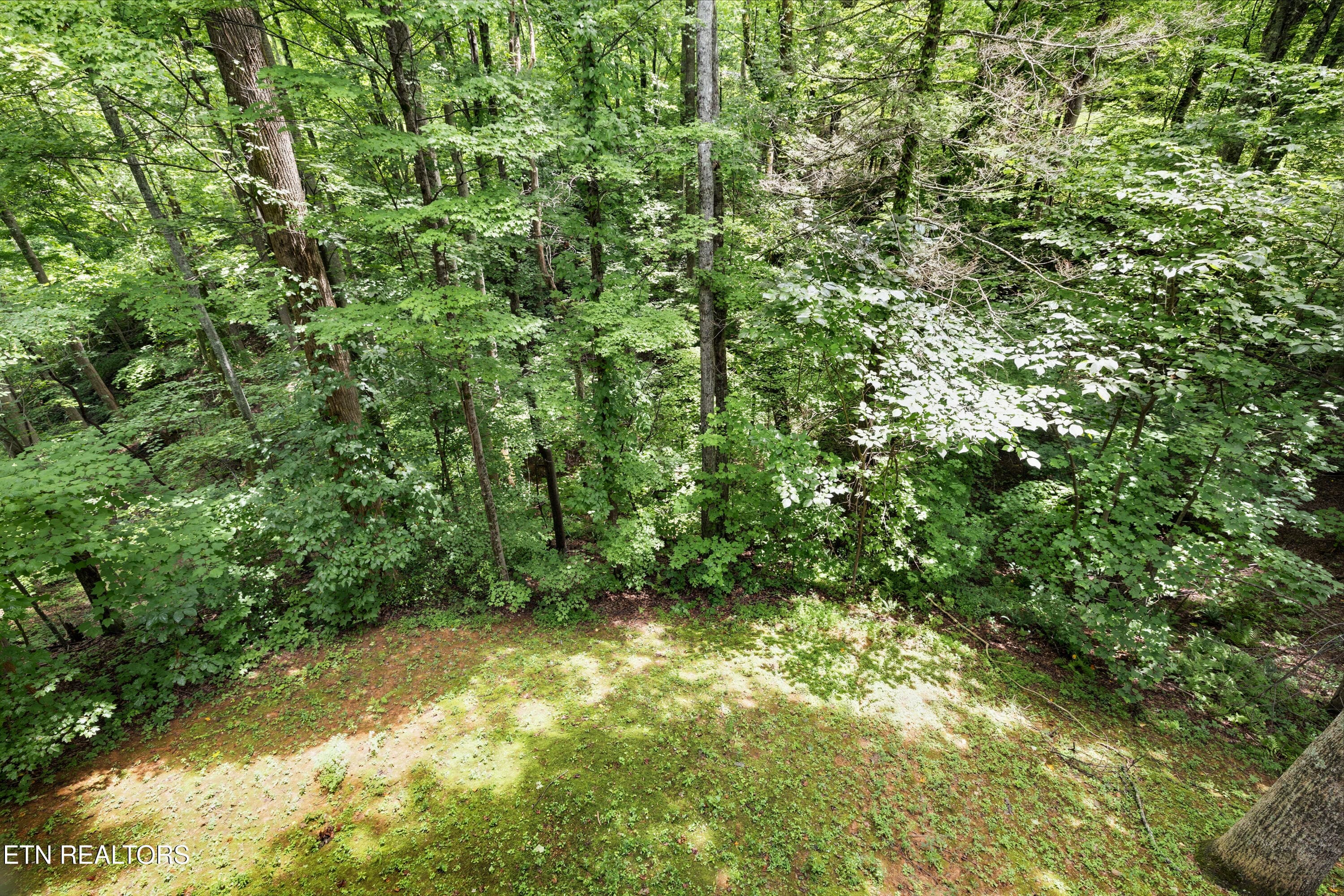 Positive Perceptions-34 - 745 Hazy Circle, Gatlinburg, TN 37738, Gatlinburg