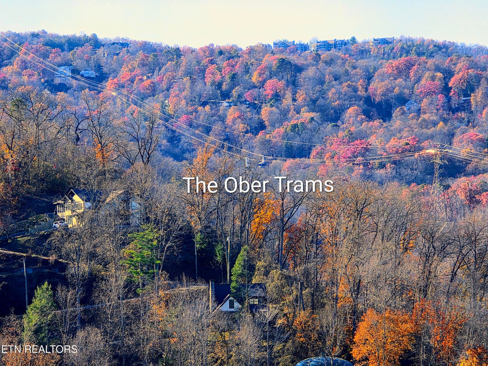 20251116_144500~2 - 616 Turkey Nest Rd APT 205, Gatlinburg, TN 37738