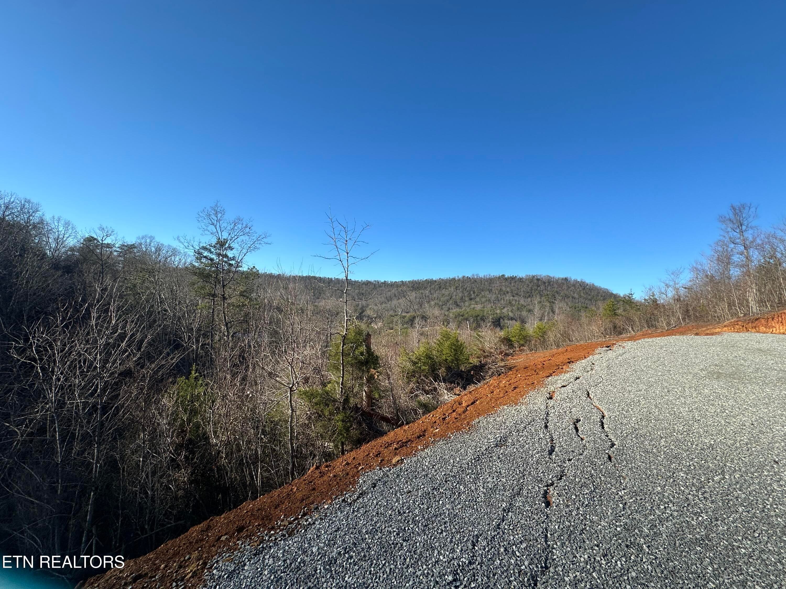 IMG_6811 - 1776 Fairview Rd, Tellico Plains, TN 37385
