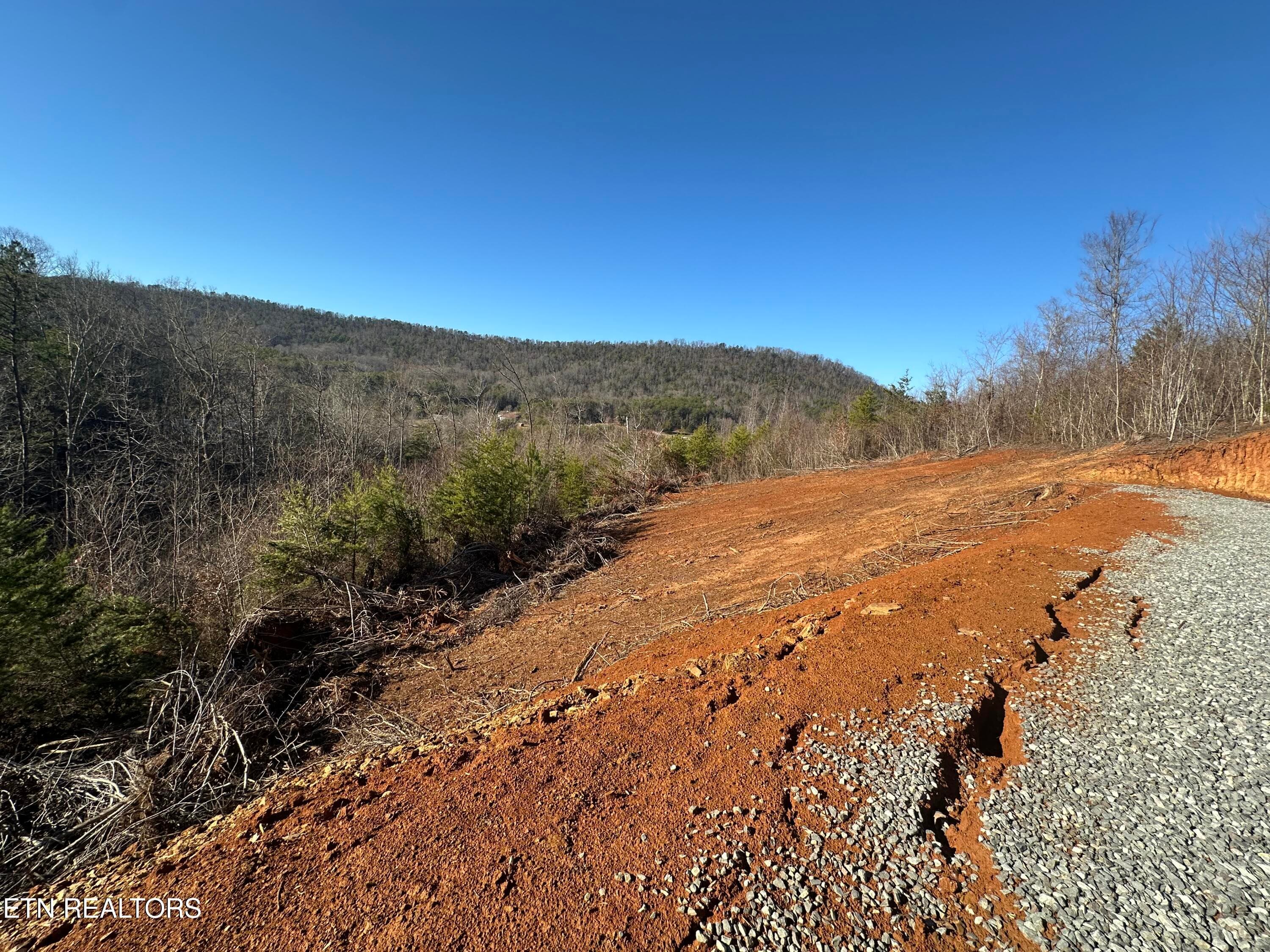 IMG_6813 - 1776 Fairview Rd, Tellico Plains, TN 37385