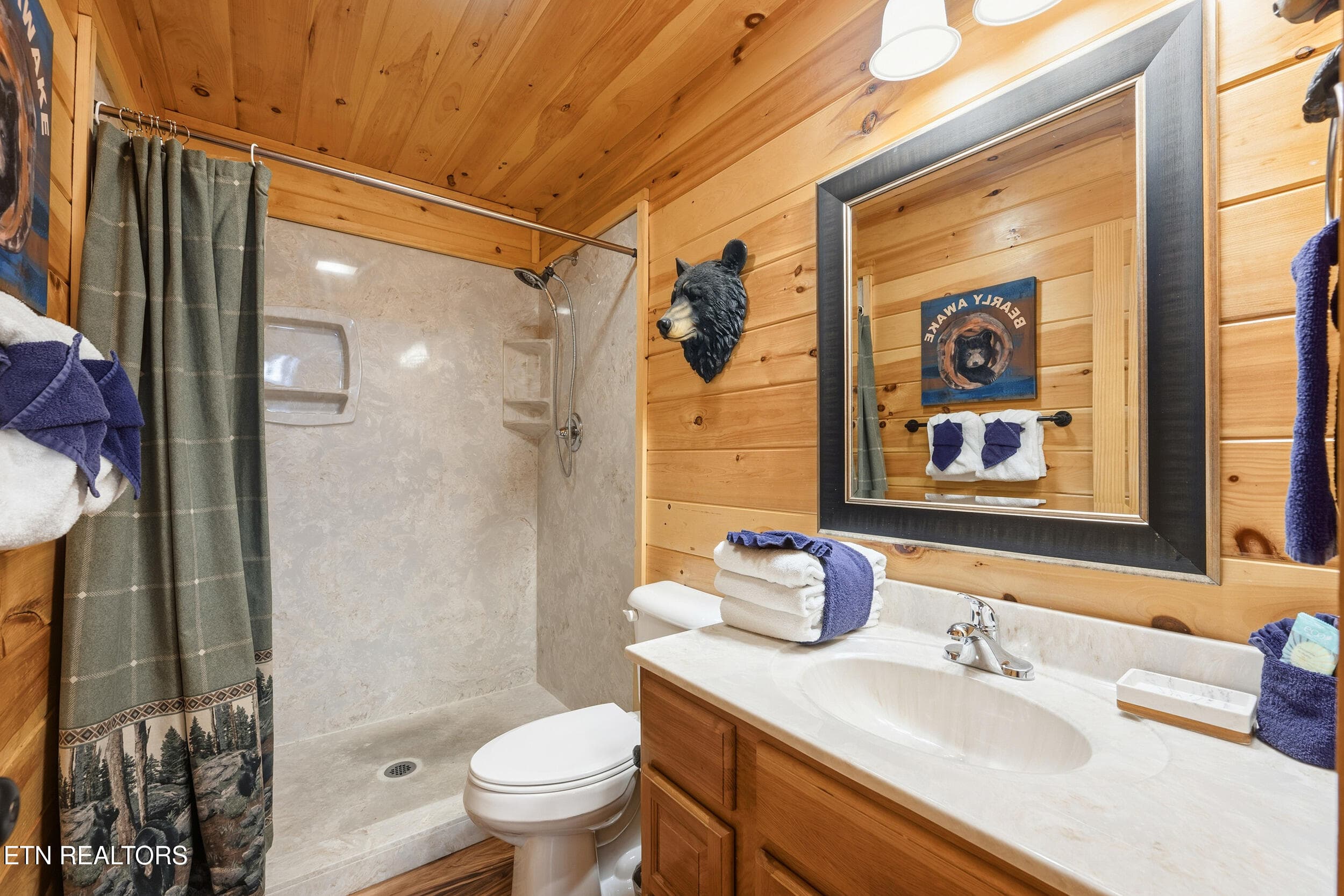 Bathroom - 2756 Murray Ridge Rd, Sevierville, TN 37876