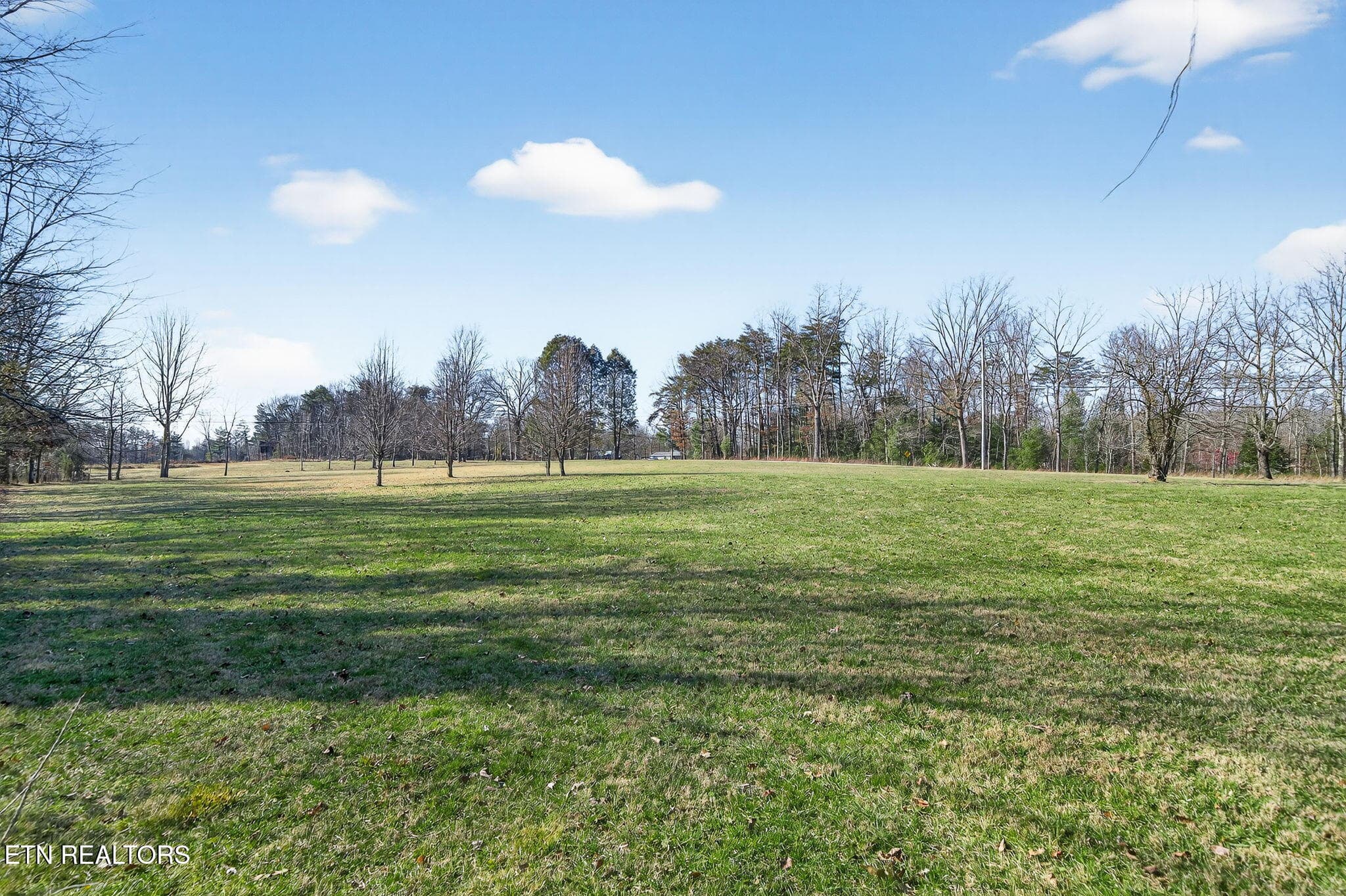 Side Yard - 2490 Chestnut Hill Rd, Crossville, TN 38571