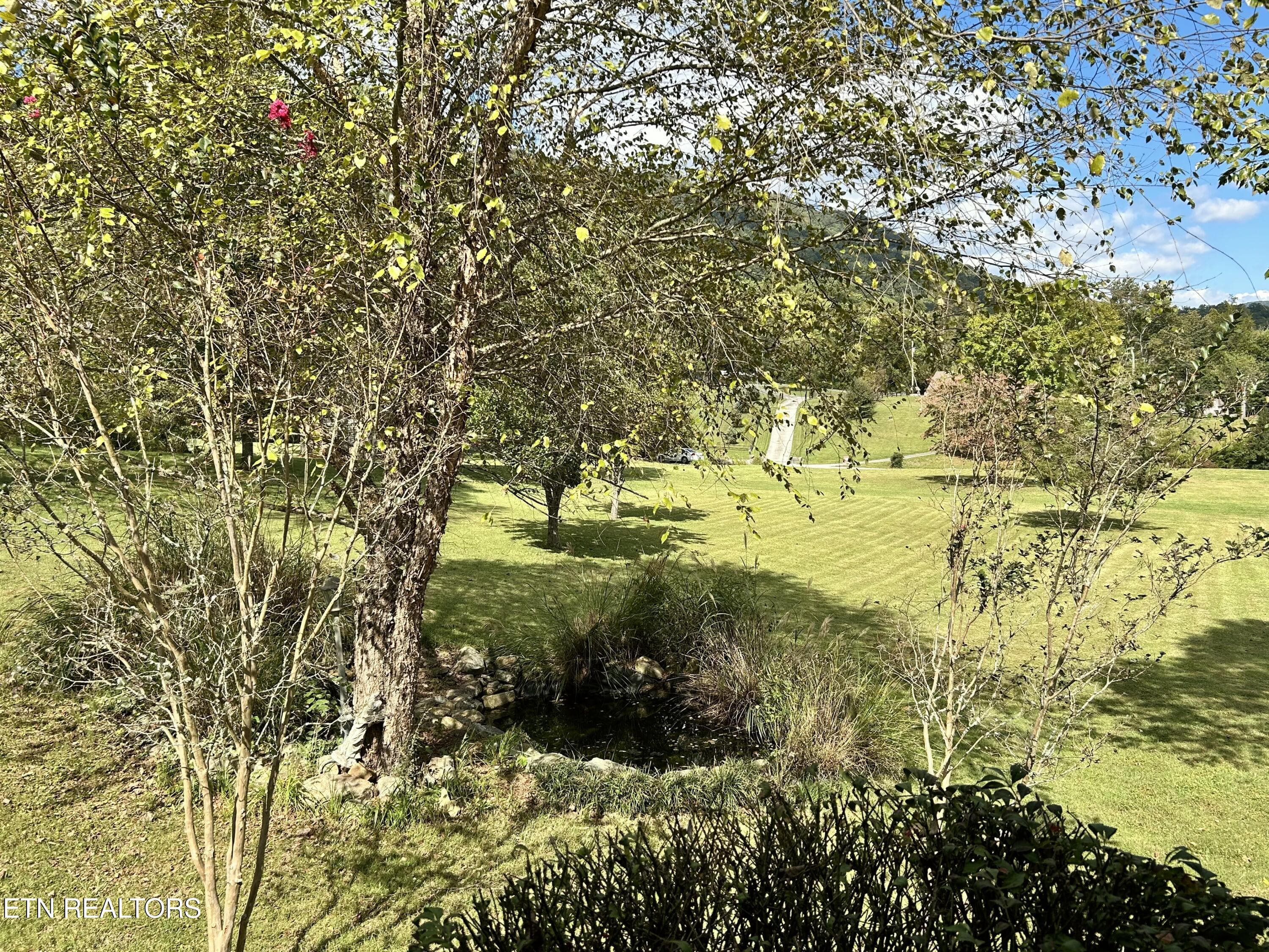 Gorgeous yard - 466 Greene Lane, LaFollette, TN 37766