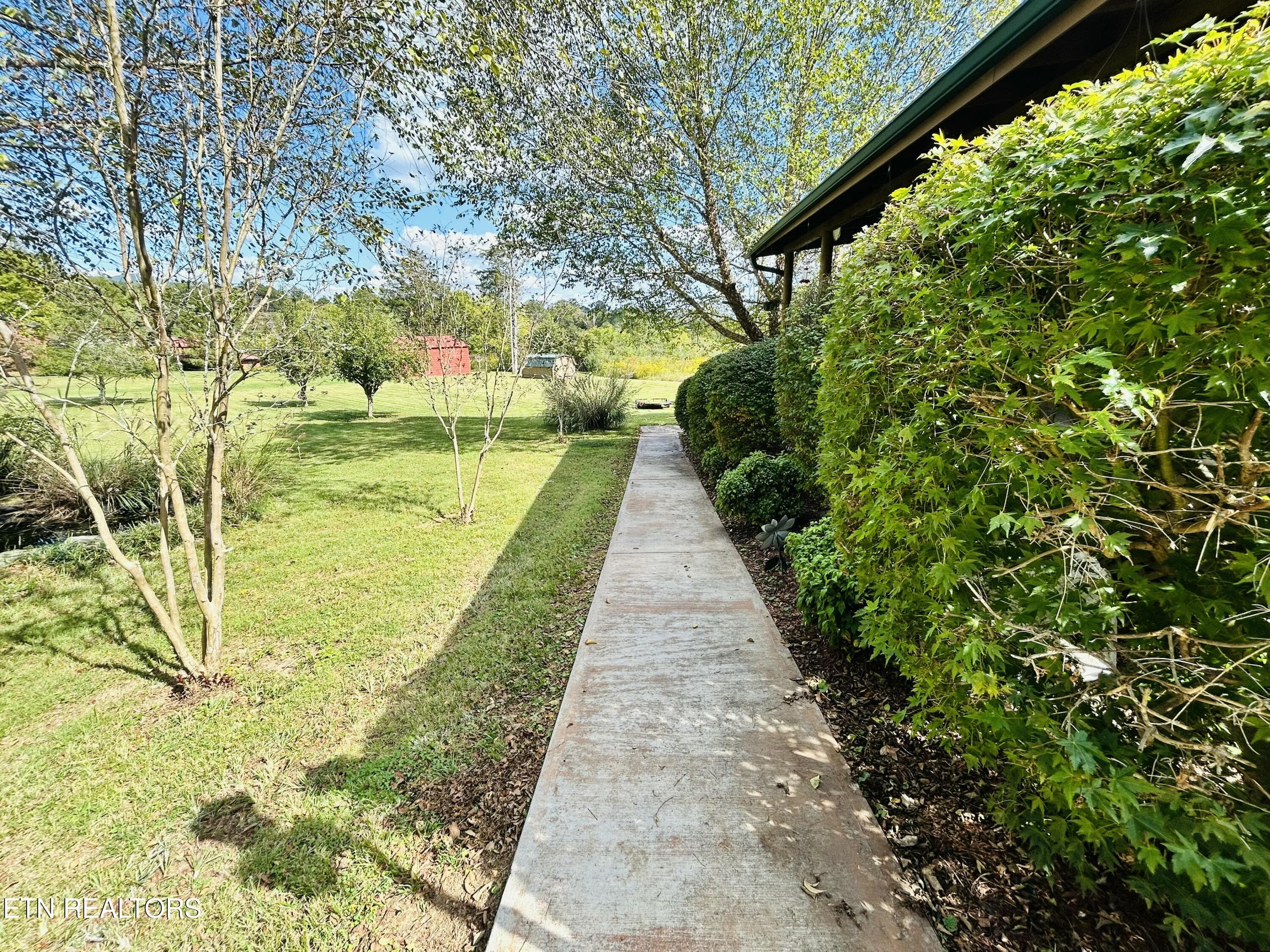 IMG_9412 - 466 Greene Lane, LaFollette, TN 37766