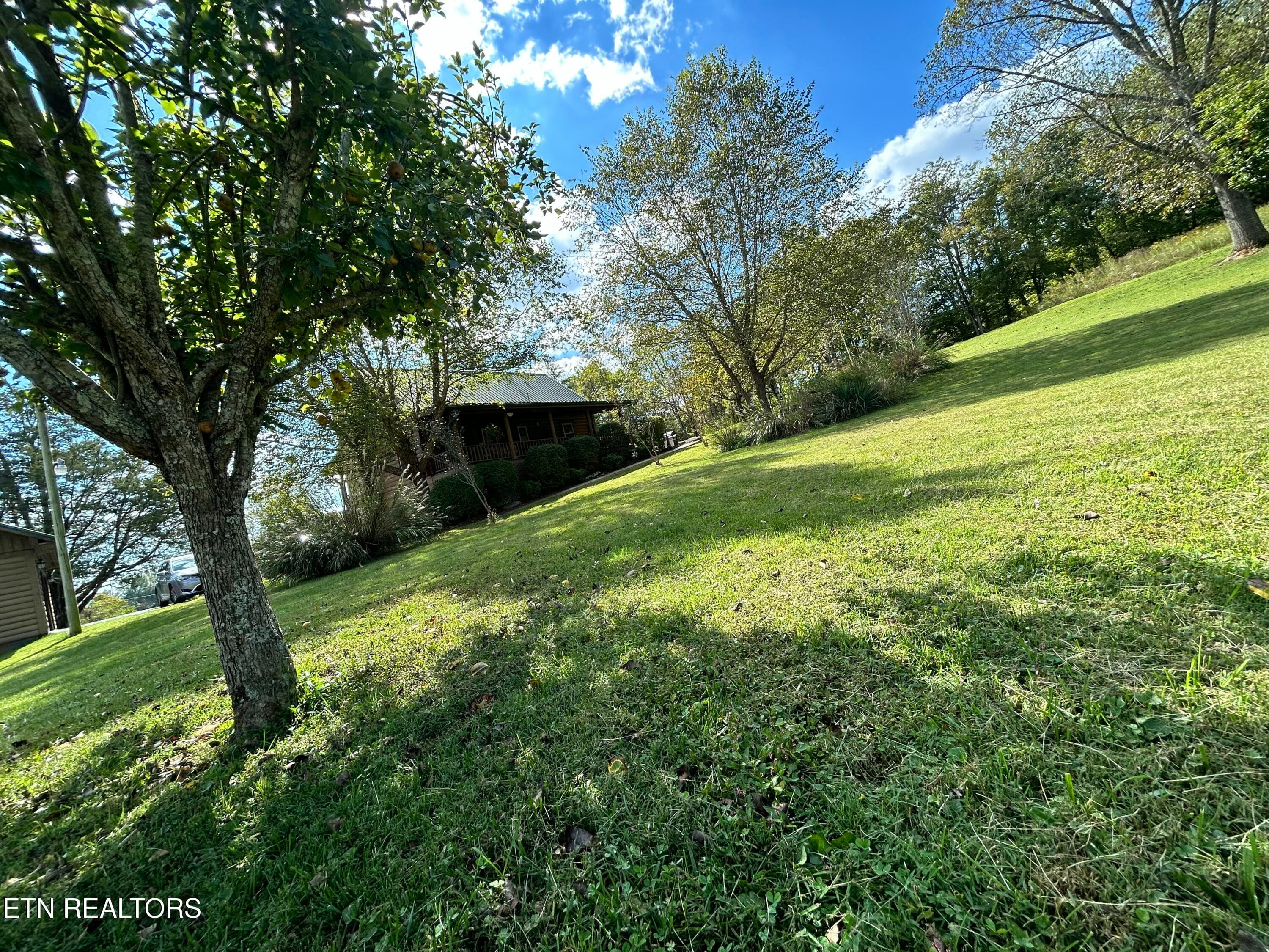 IMG_9416 - 466 Greene Lane, LaFollette, TN 37766