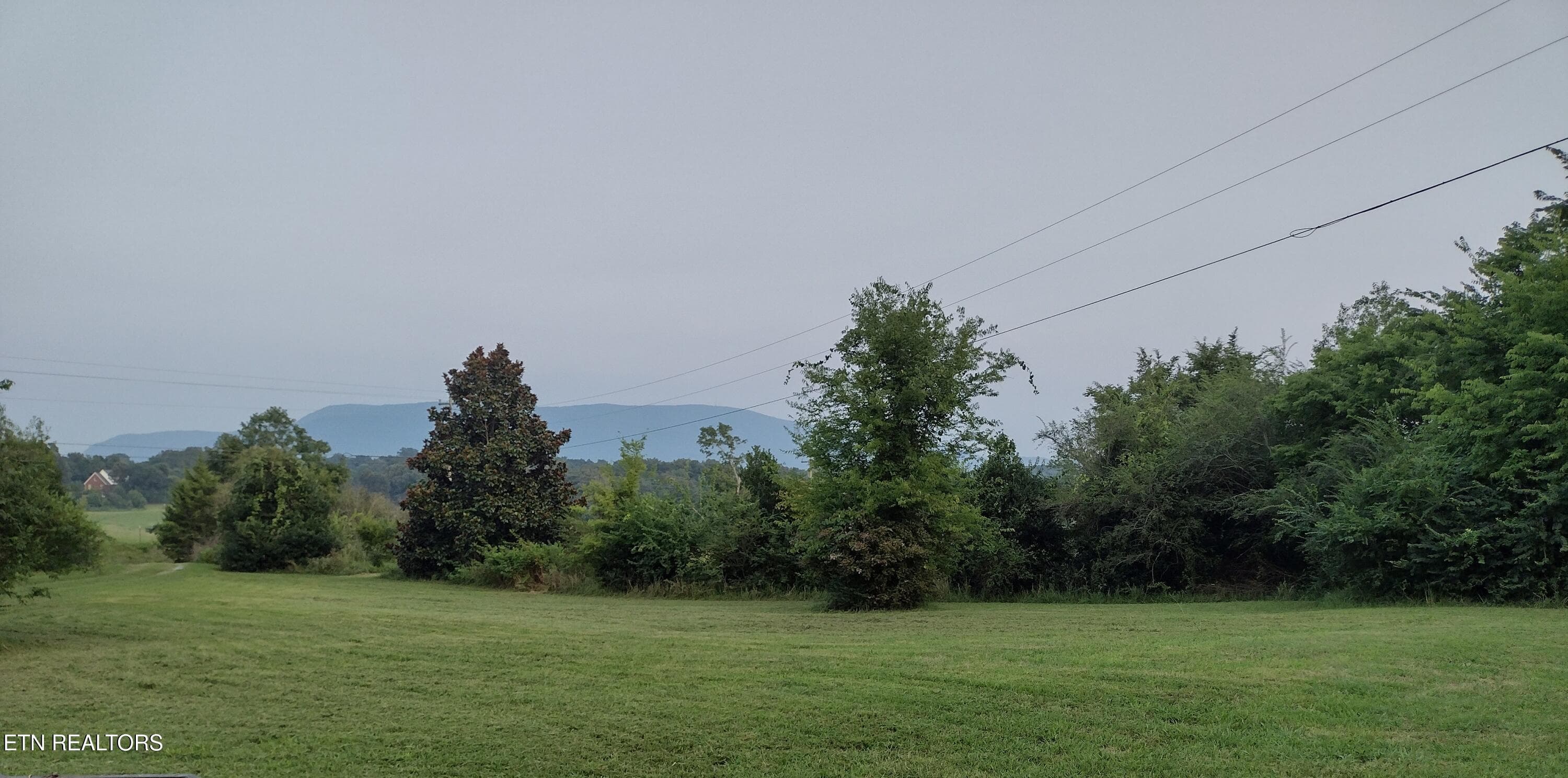 view to the front - 150 Larry Lynch Drive, Delano, TN 37325