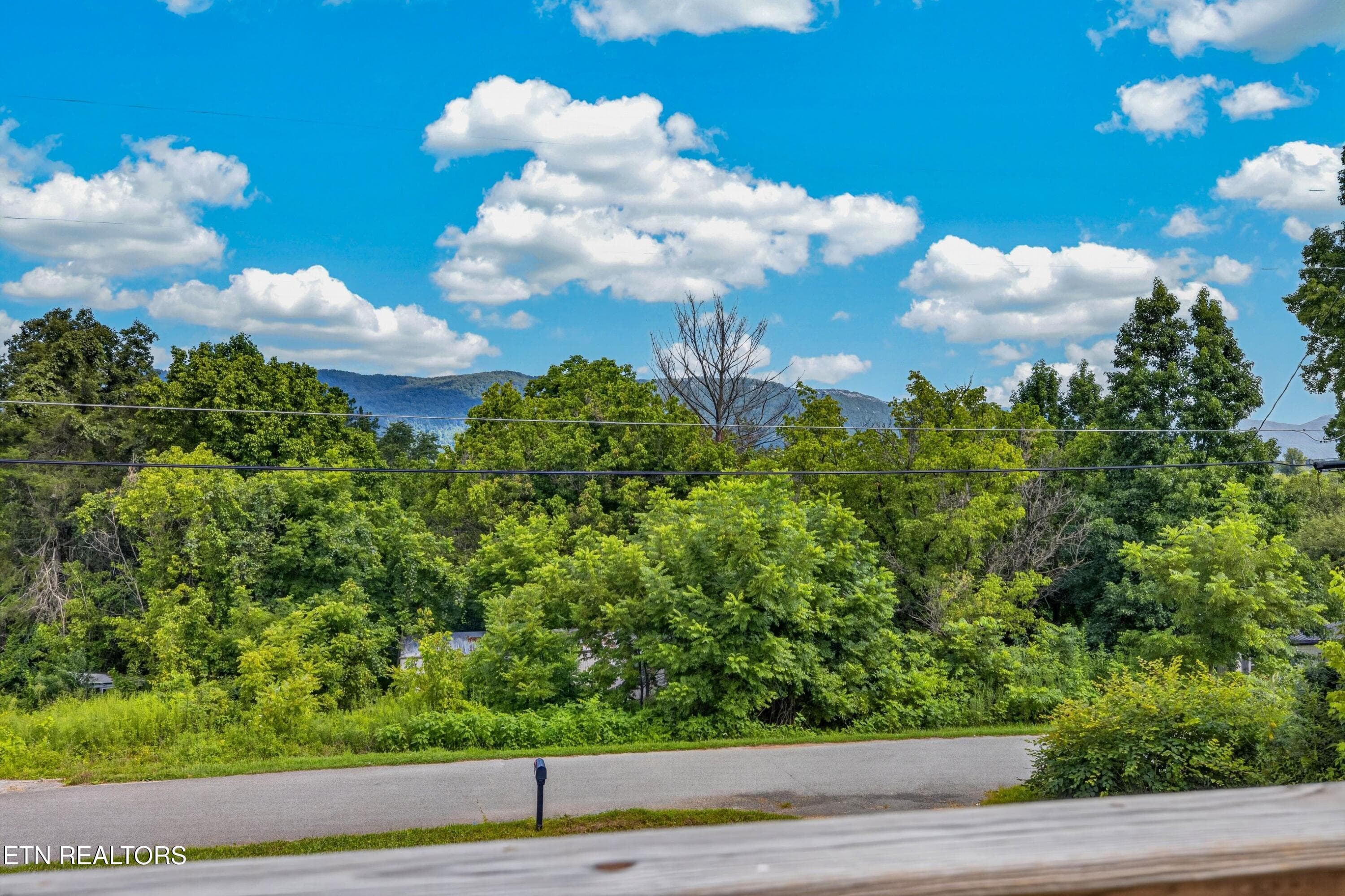023-135GambleLane-LaFollette-TN-37766-SM - 135 Gamble Lane, LaFollette, TN 37766
