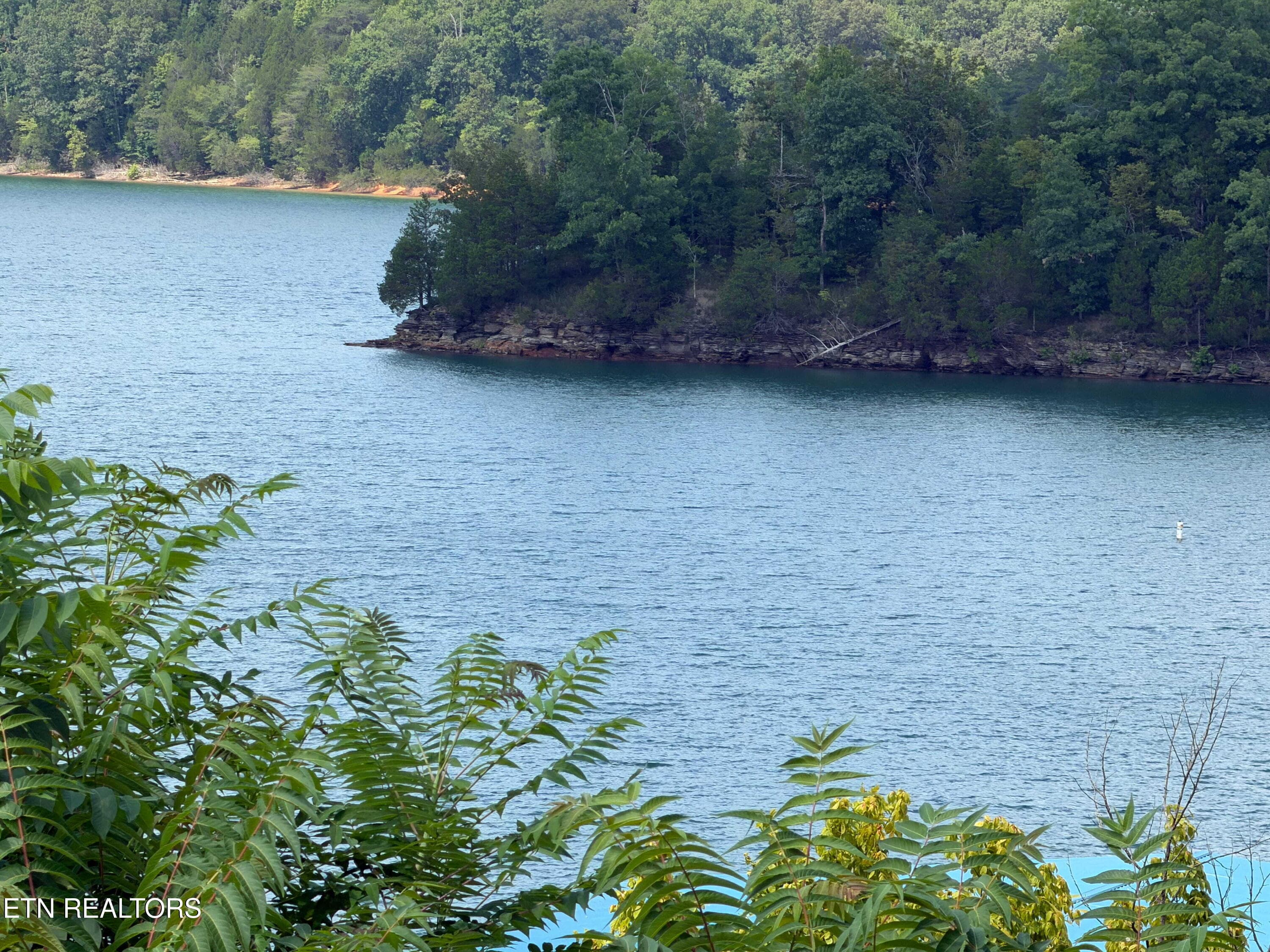IMG_3620 - 955 Livingston Boat Dock Rd, Allons, TN 38541