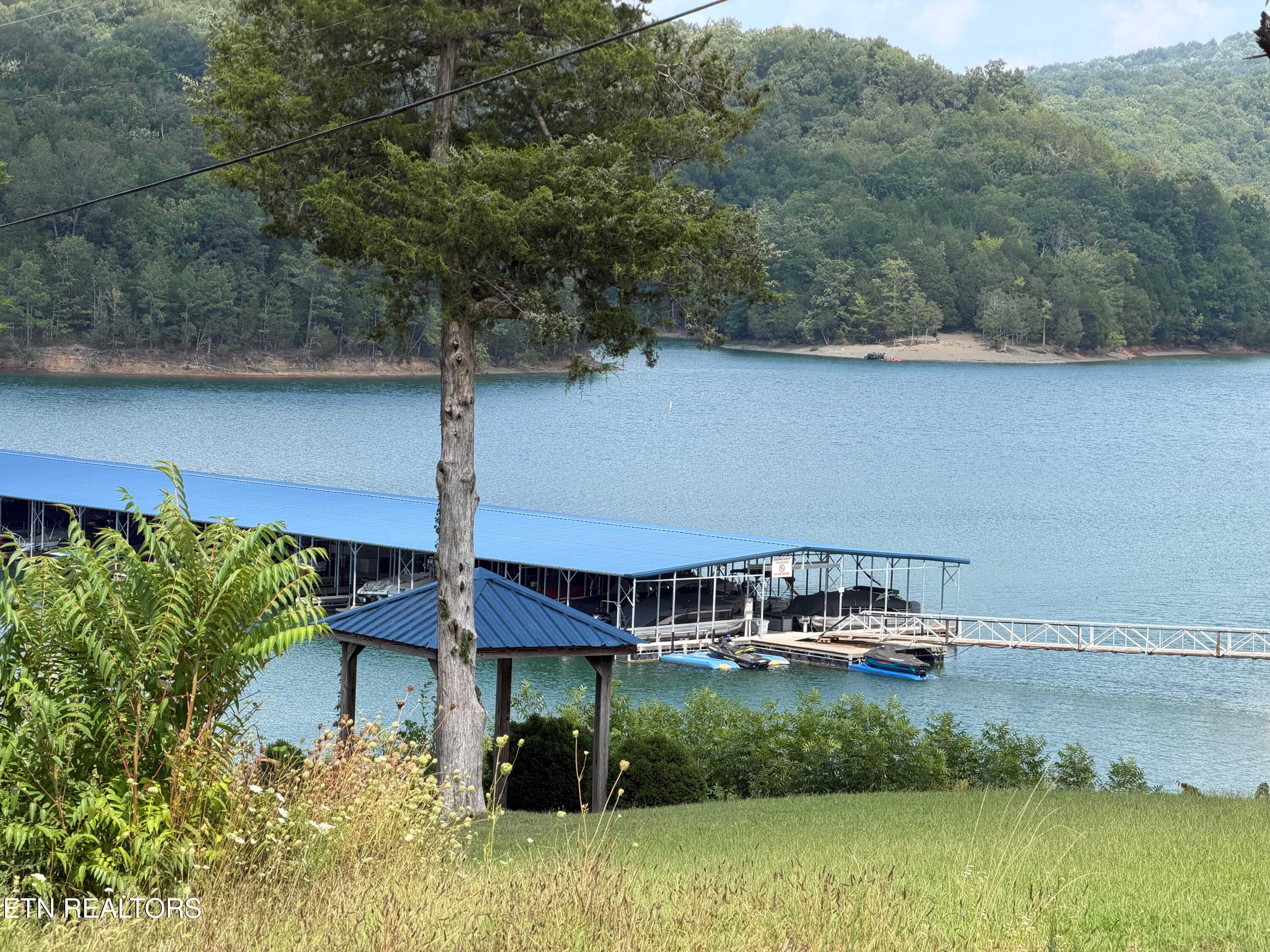 IMG_3621 - 955 Livingston Boat Dock Rd, Allons, TN 38541