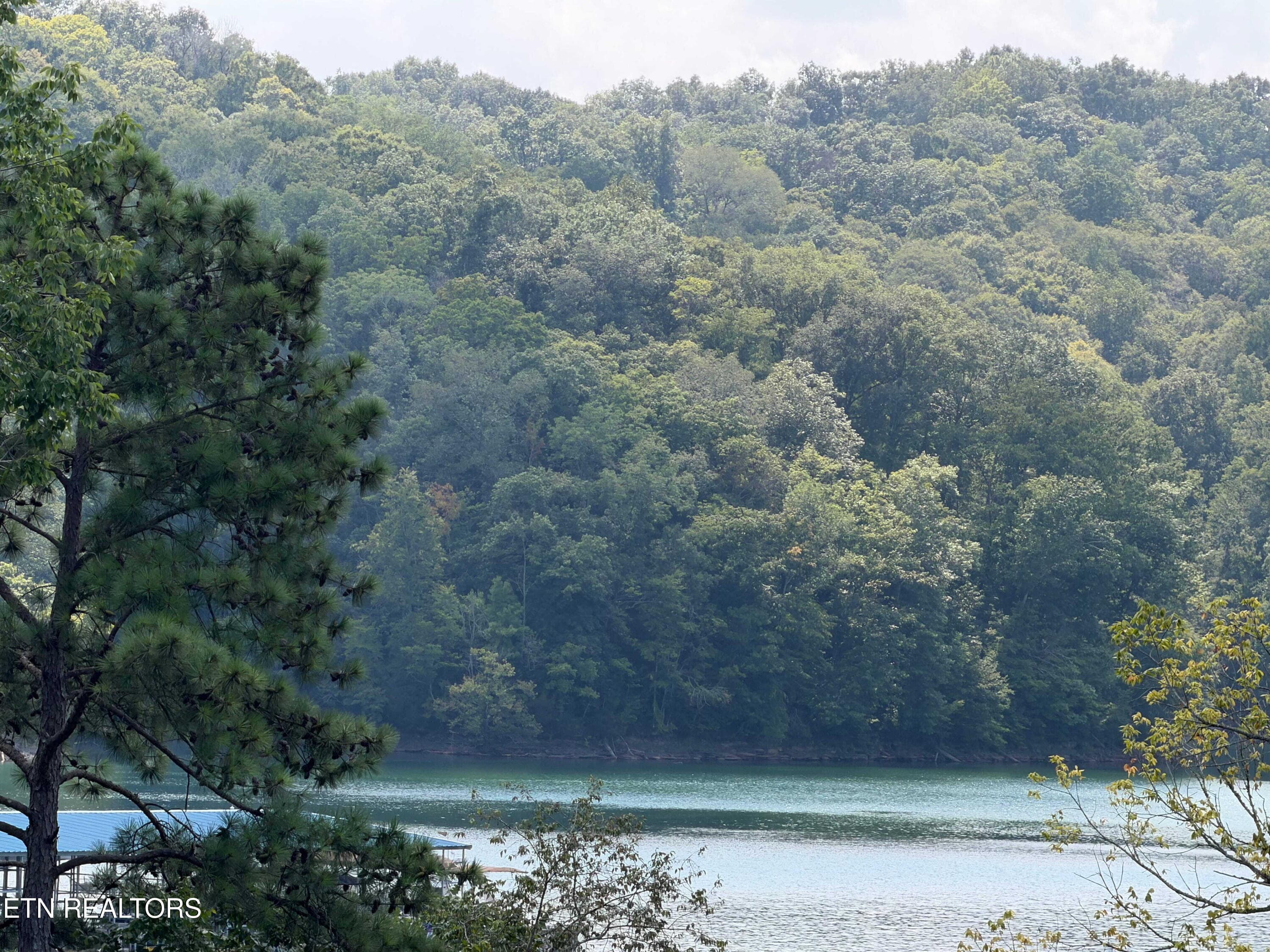 IMG_3623 - 955 Livingston Boat Dock Rd, Allons, TN 38541