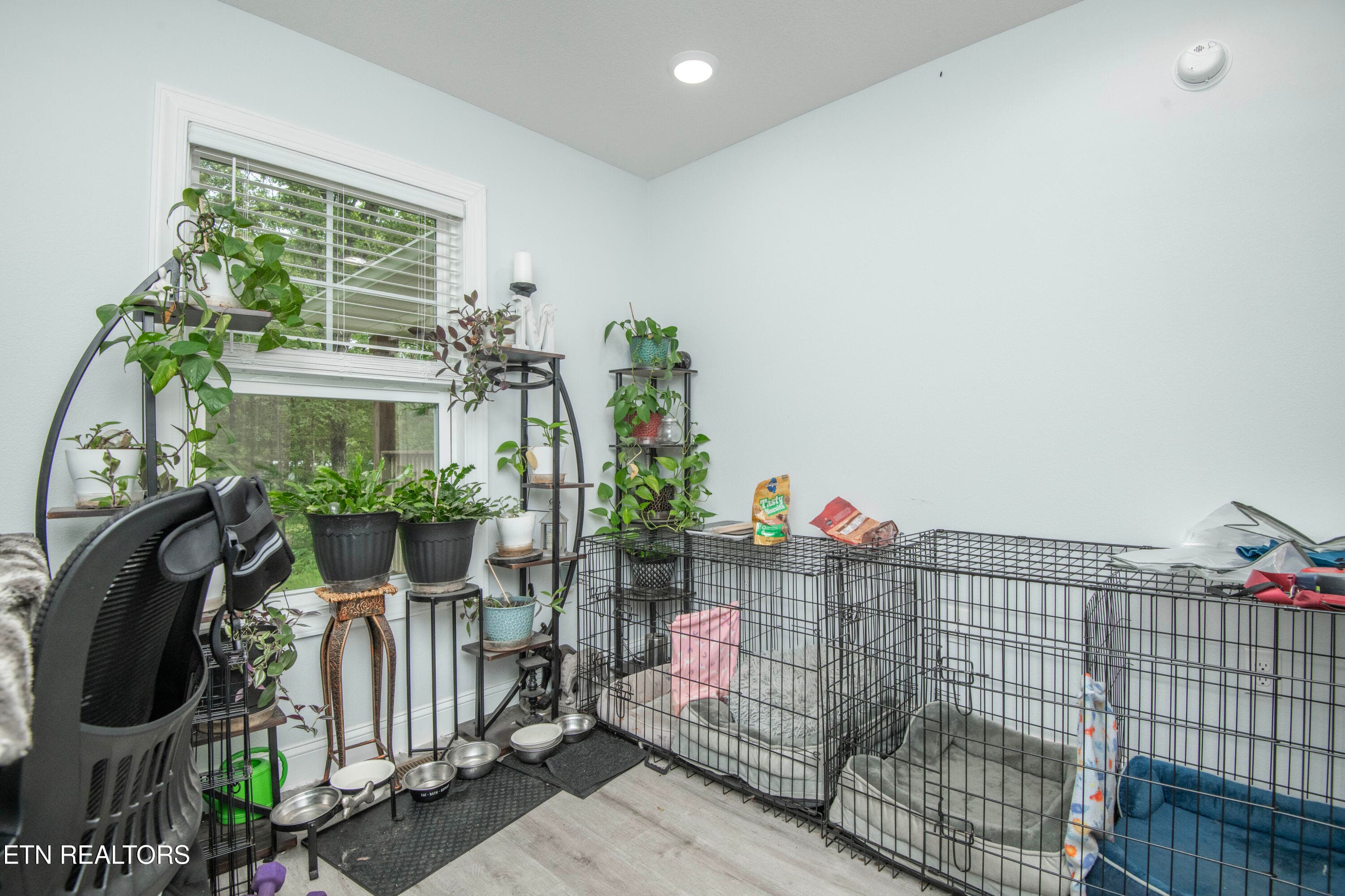 second bed 1 - 359 Youngs Ford Rd, Jamestown, TN 38556