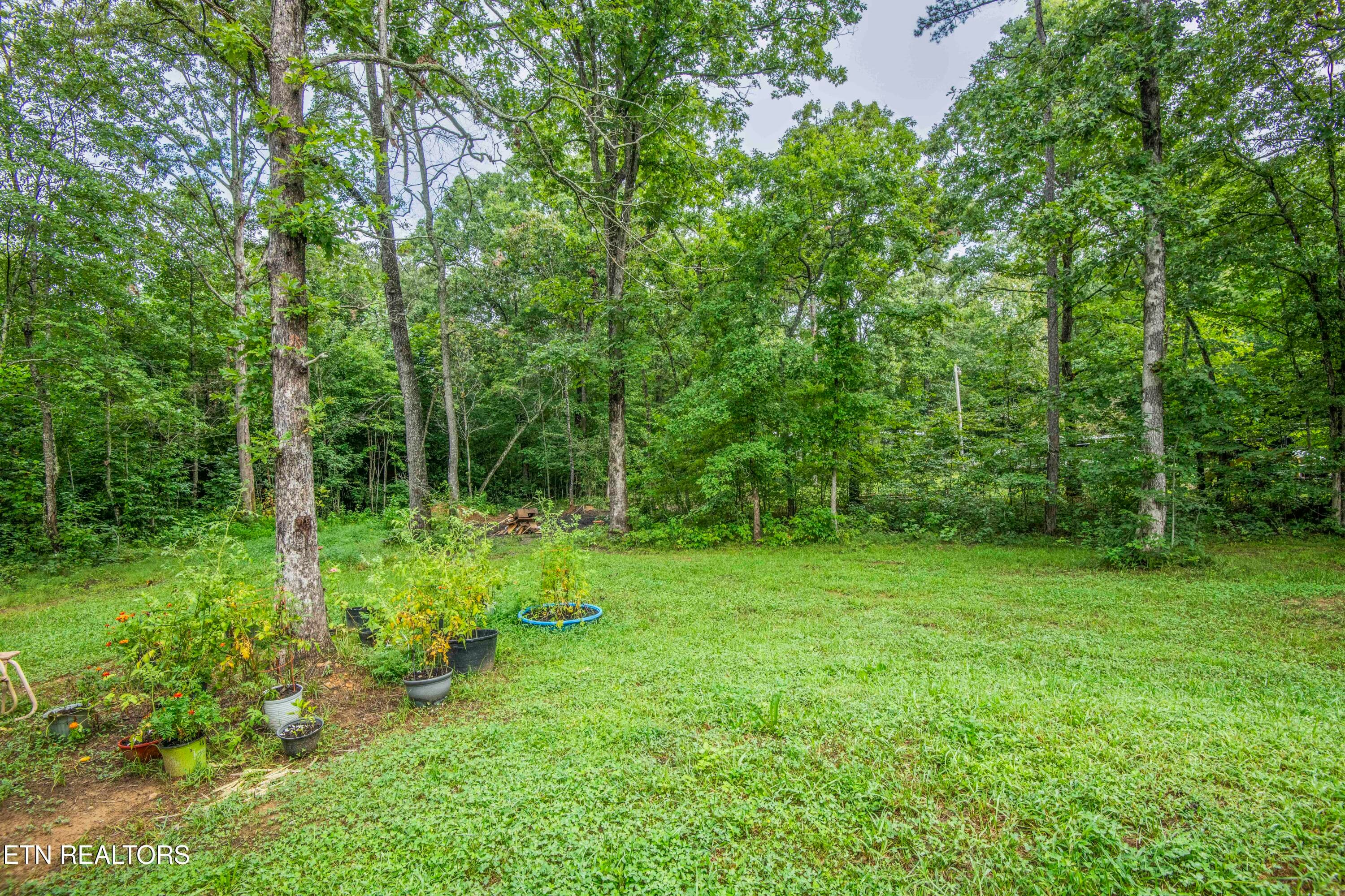 yard 6_1 - 359 Youngs Ford Rd, Jamestown, TN 38556
