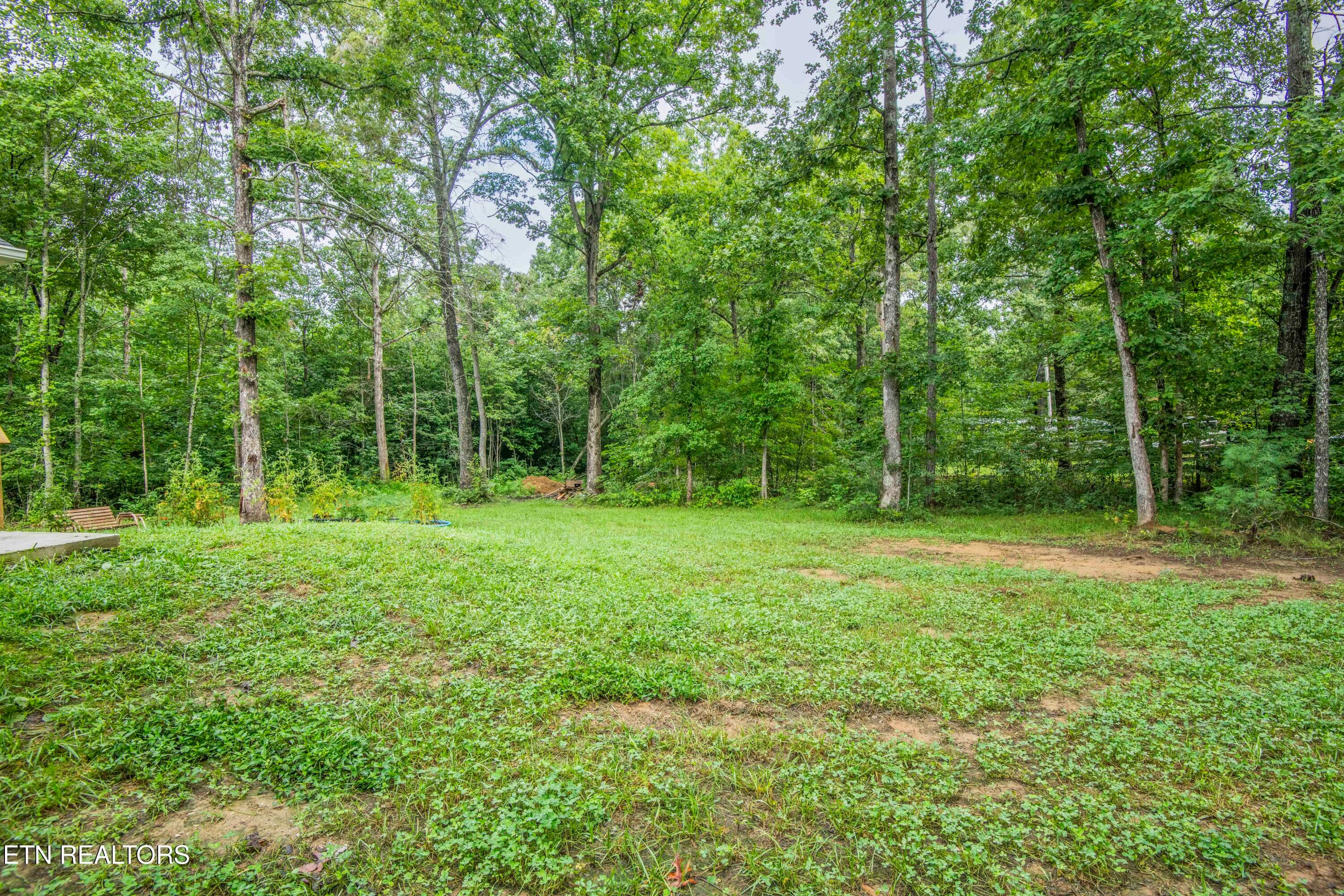 yard 9_1 - 359 Youngs Ford Rd, Jamestown, TN 38556